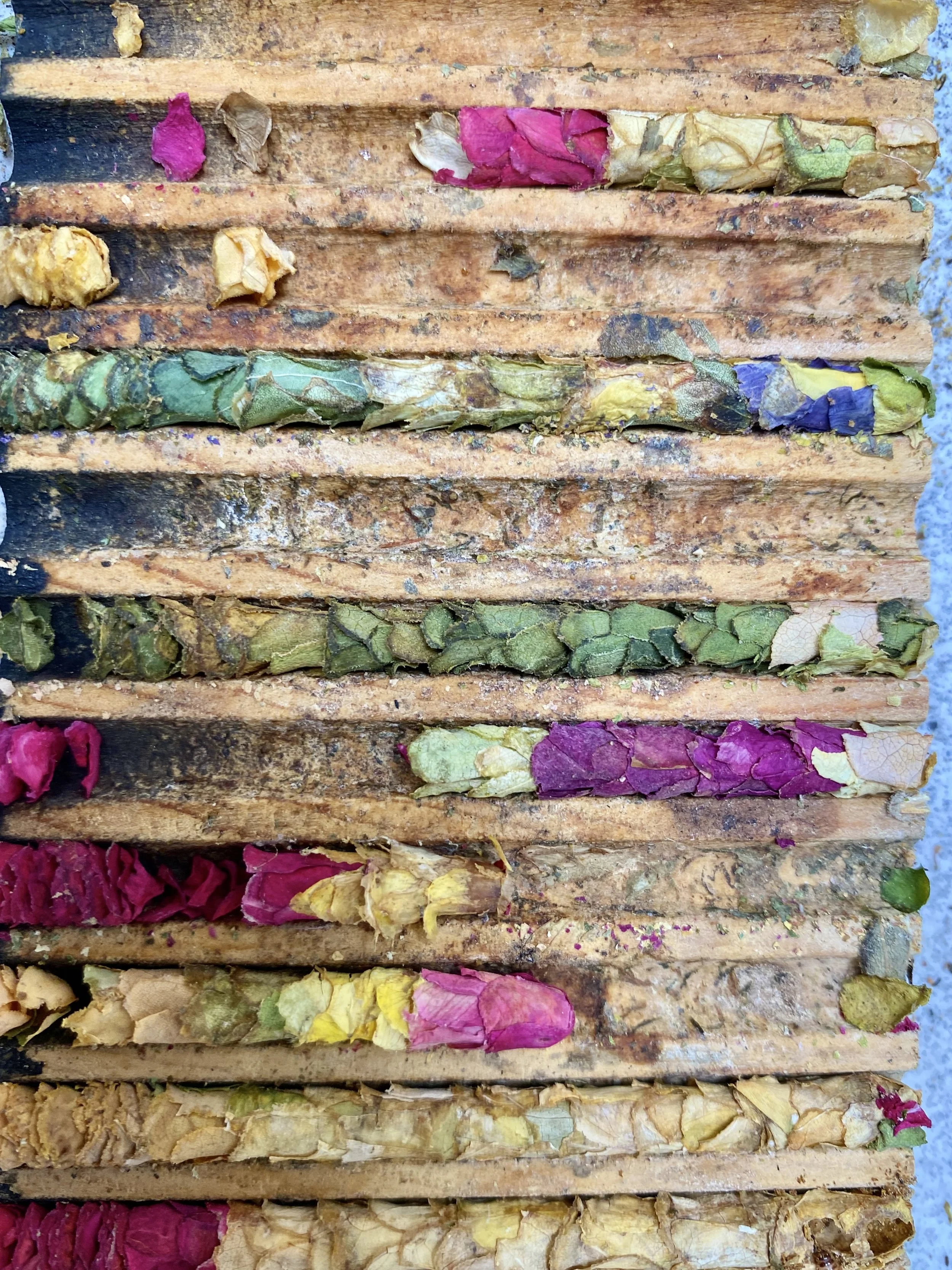 LEAFCUTTER’S NESTING BLOCK