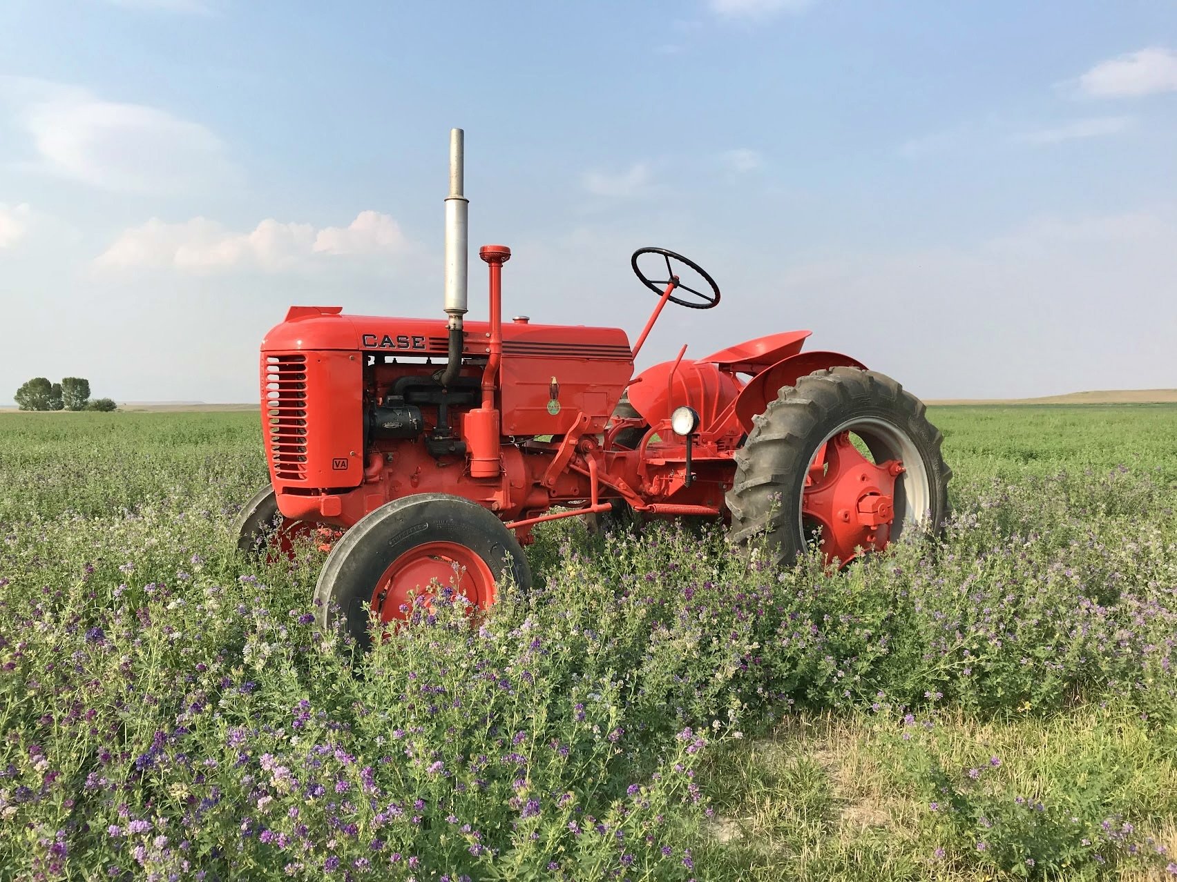 From Rusted to Restored
