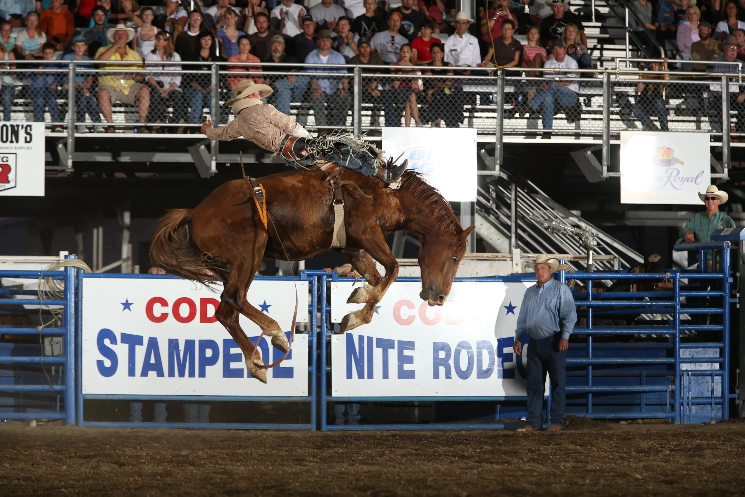 Saddle Up for the Celebration of a Lifetime! — Raised in the West Magazine