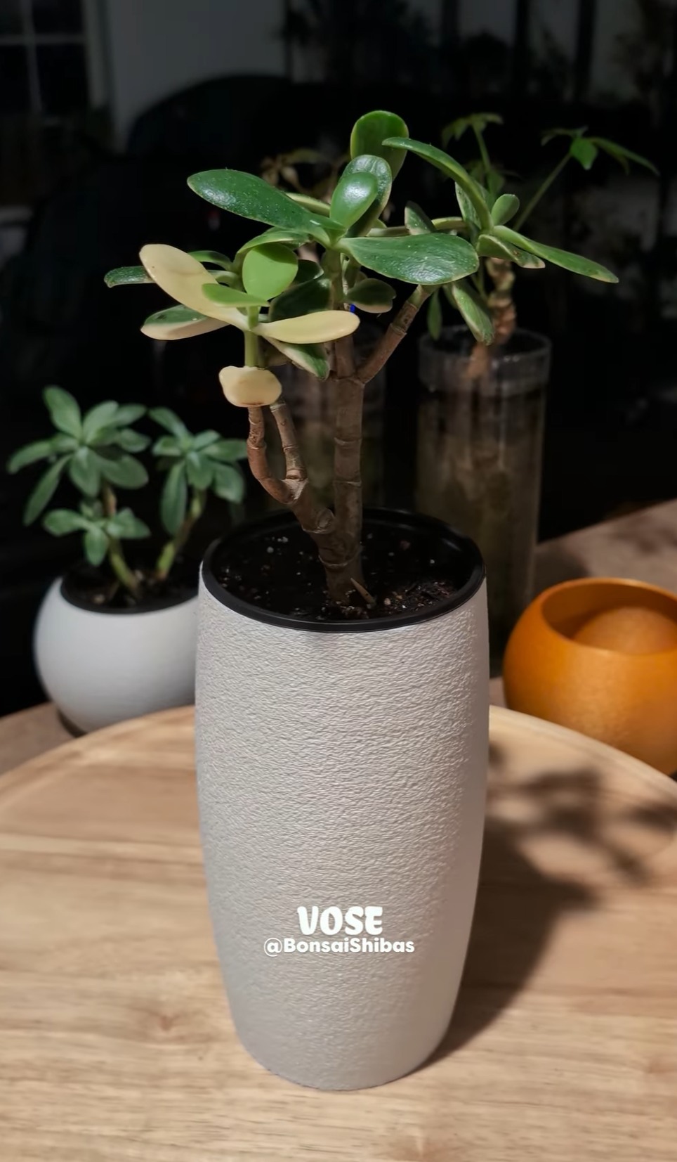 Screenshot 2025-12-05 210457.png