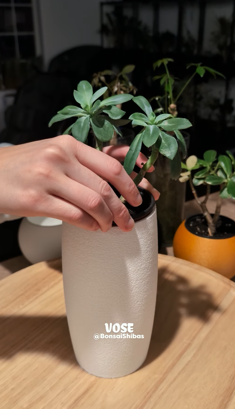 Screenshot 2025-12-05 210443.png