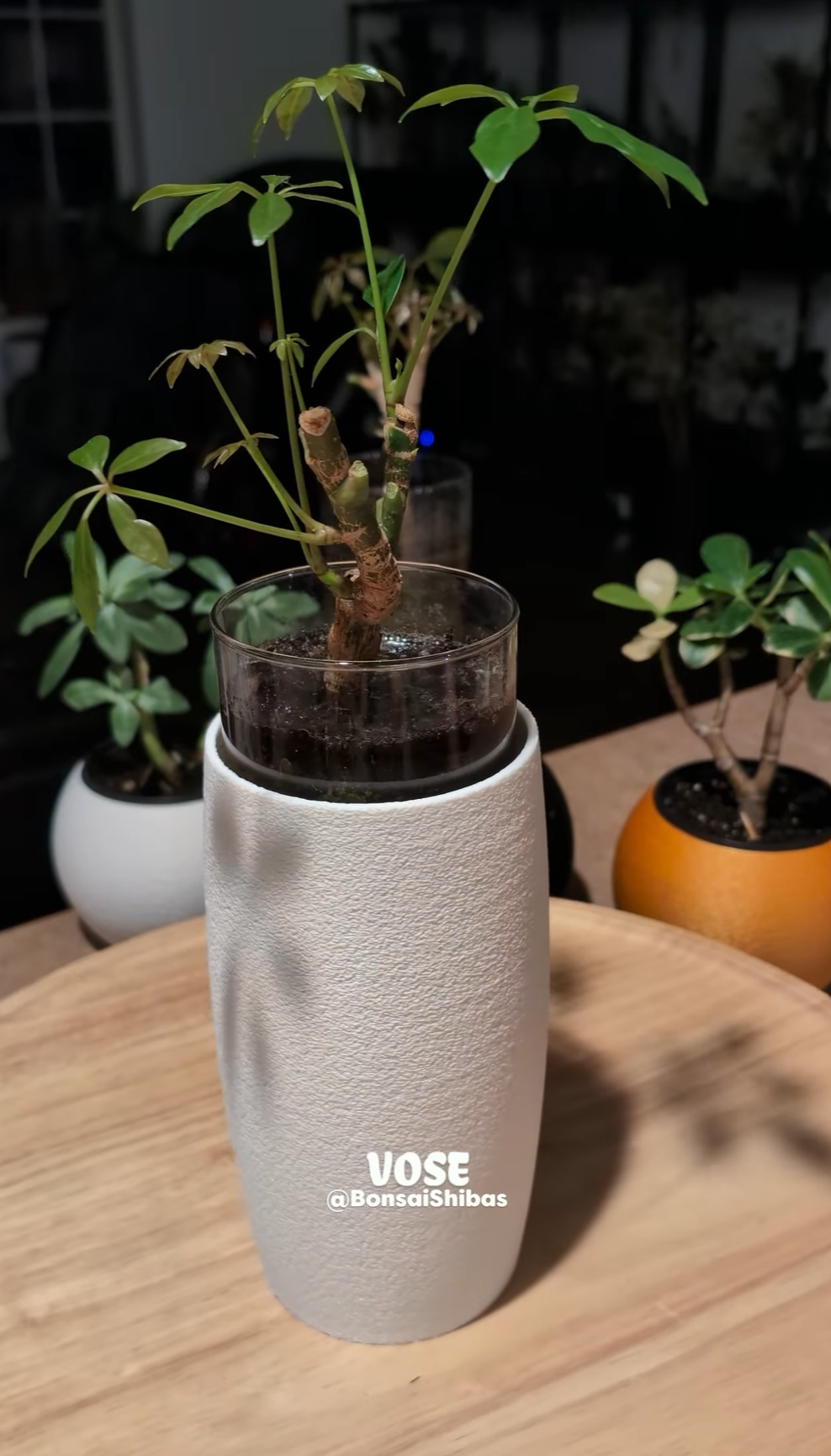 Screenshot 2025-12-05 210528.png