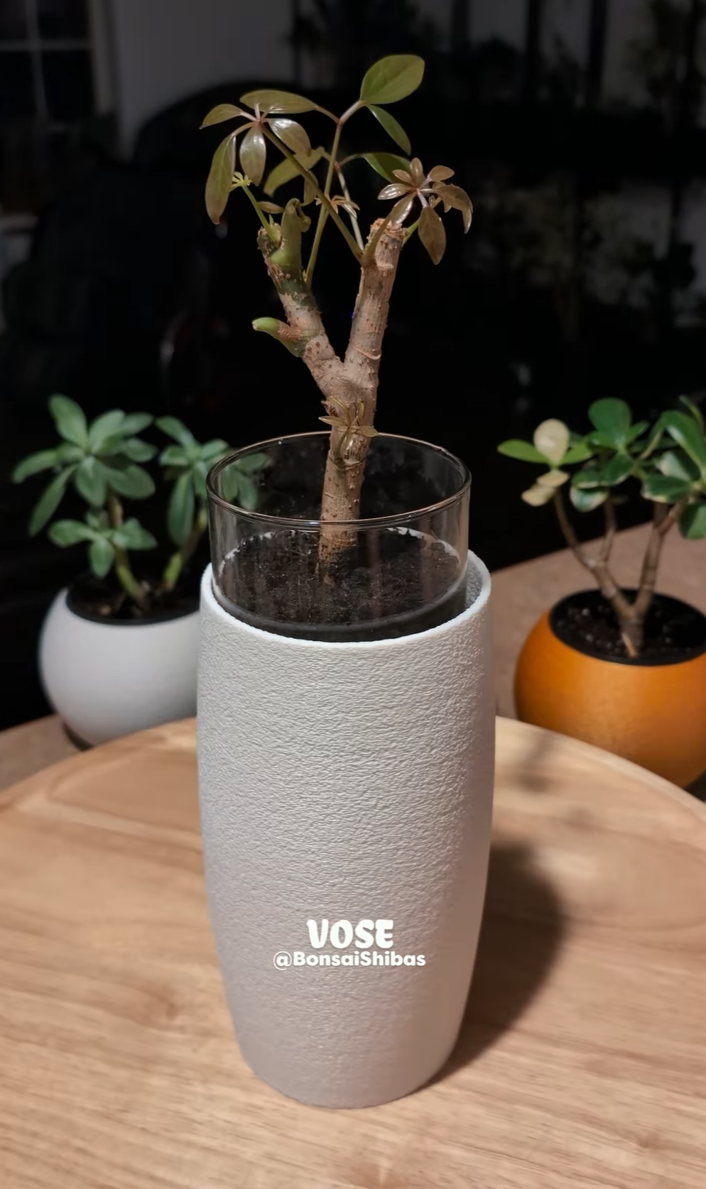 Screenshot 2025-12-05 210400.png