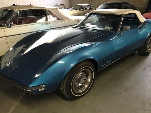 stingray+1.jpg