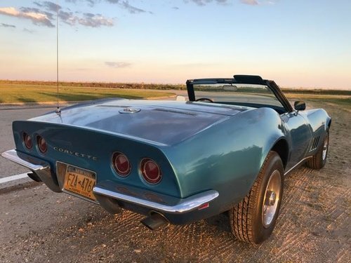 stingray.jpg