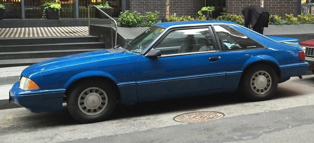 Mustang.jpg