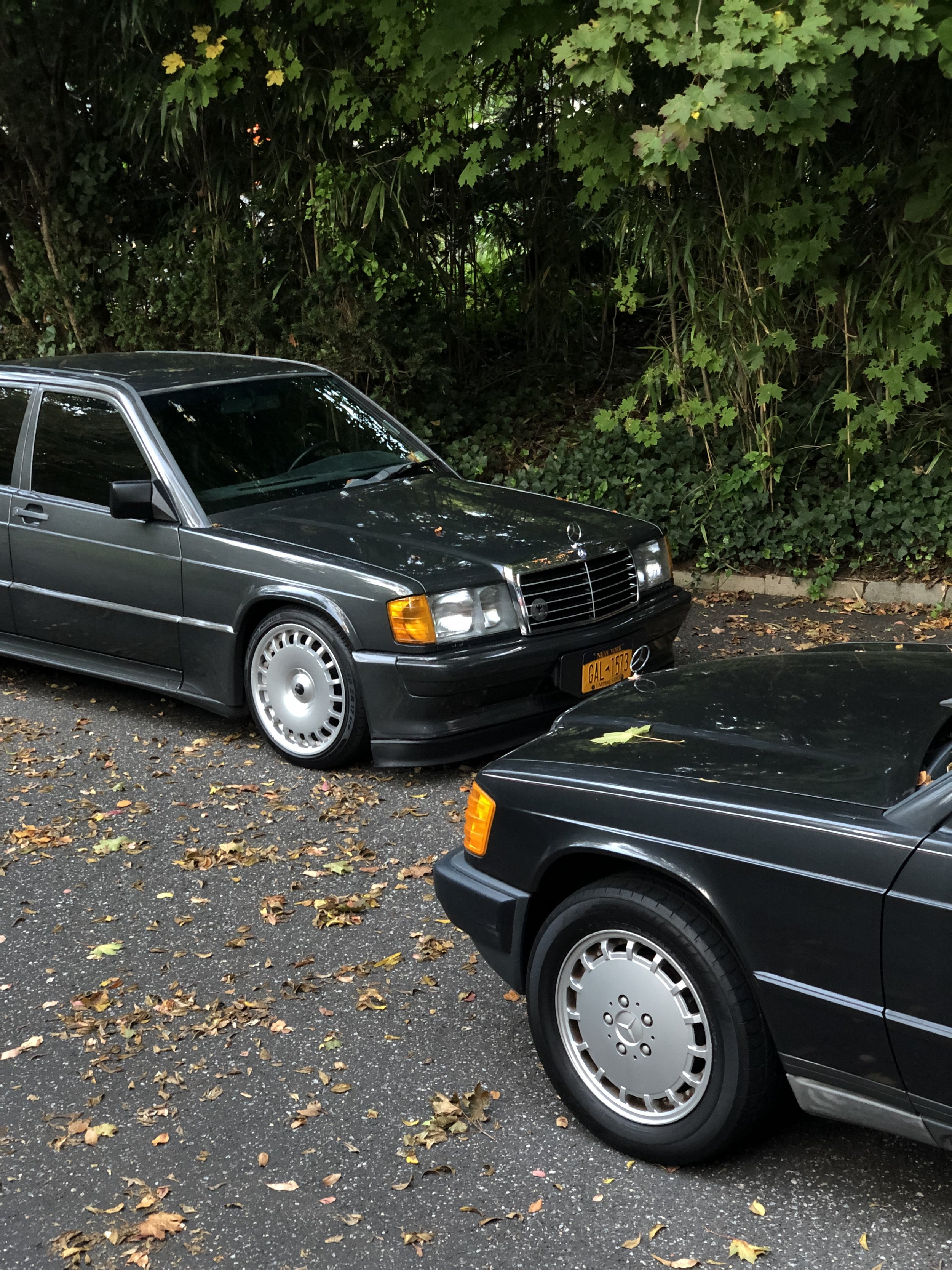 image1 (17).jpeg