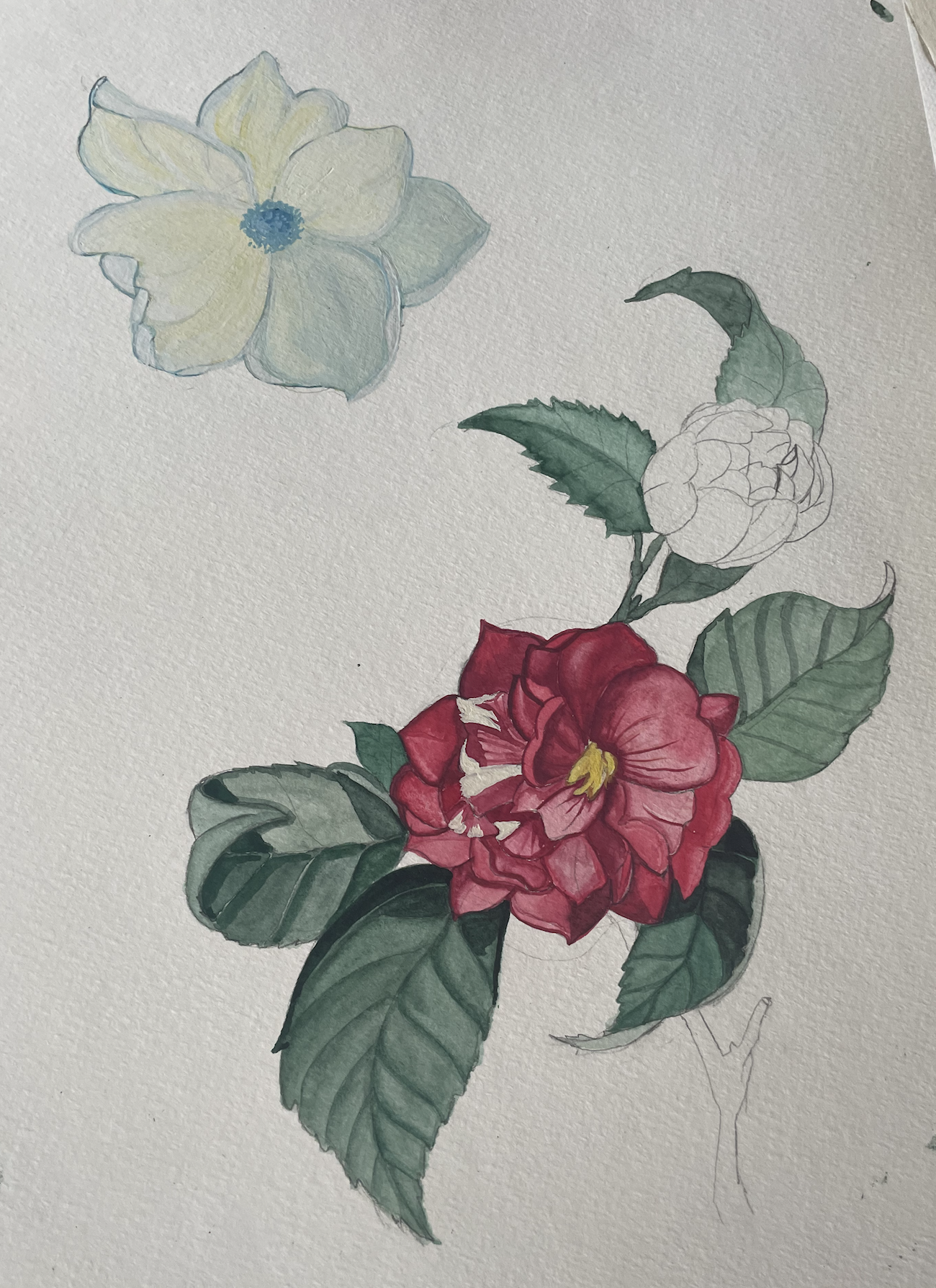 Screenshot 2026-03-03 at 4.56.16 PM.png