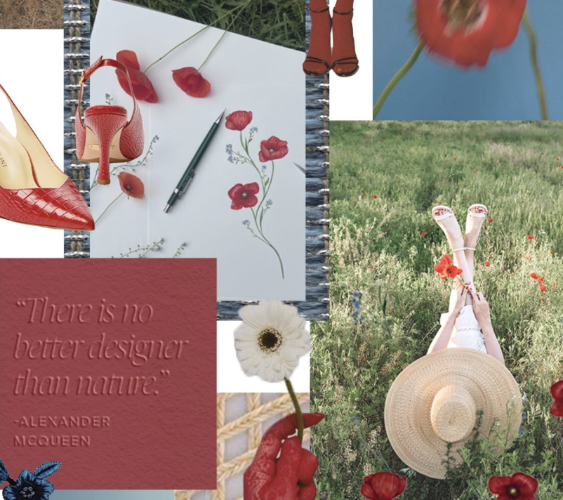 Screen Shot 2025-02-20 at 6.10.25 PM.png