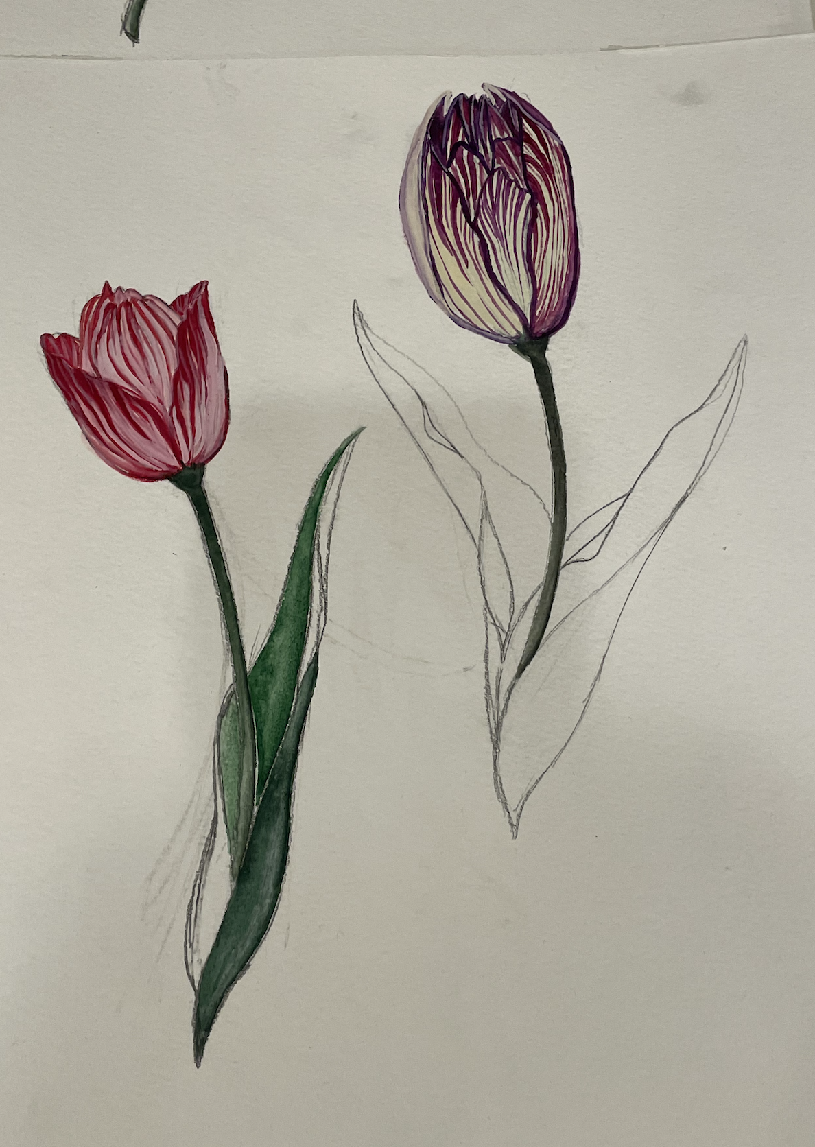 Screenshot 2026-03-03 at 4.55.27 PM.png