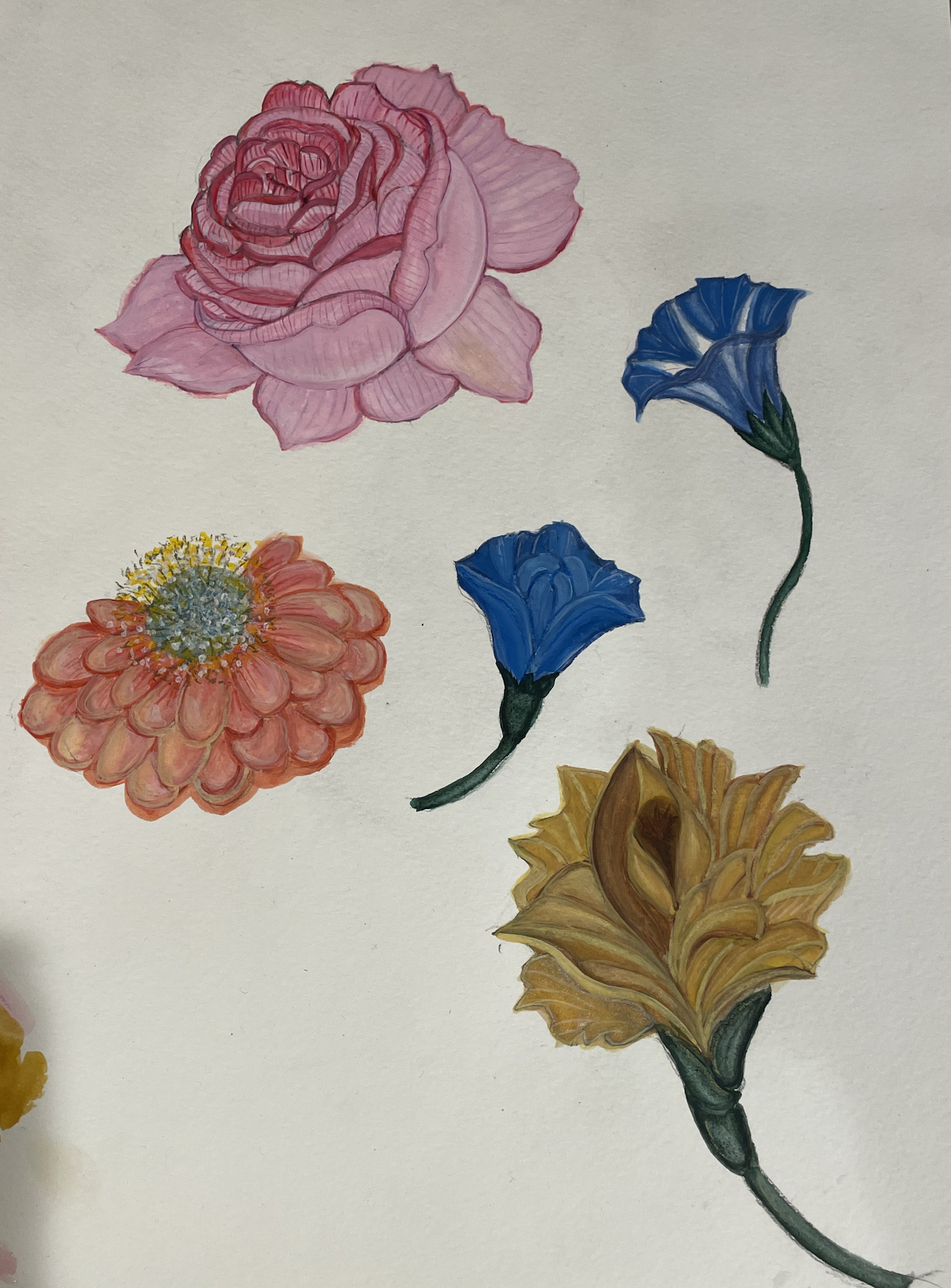 Screenshot 2026-03-03 at 4.55.40 PM.png