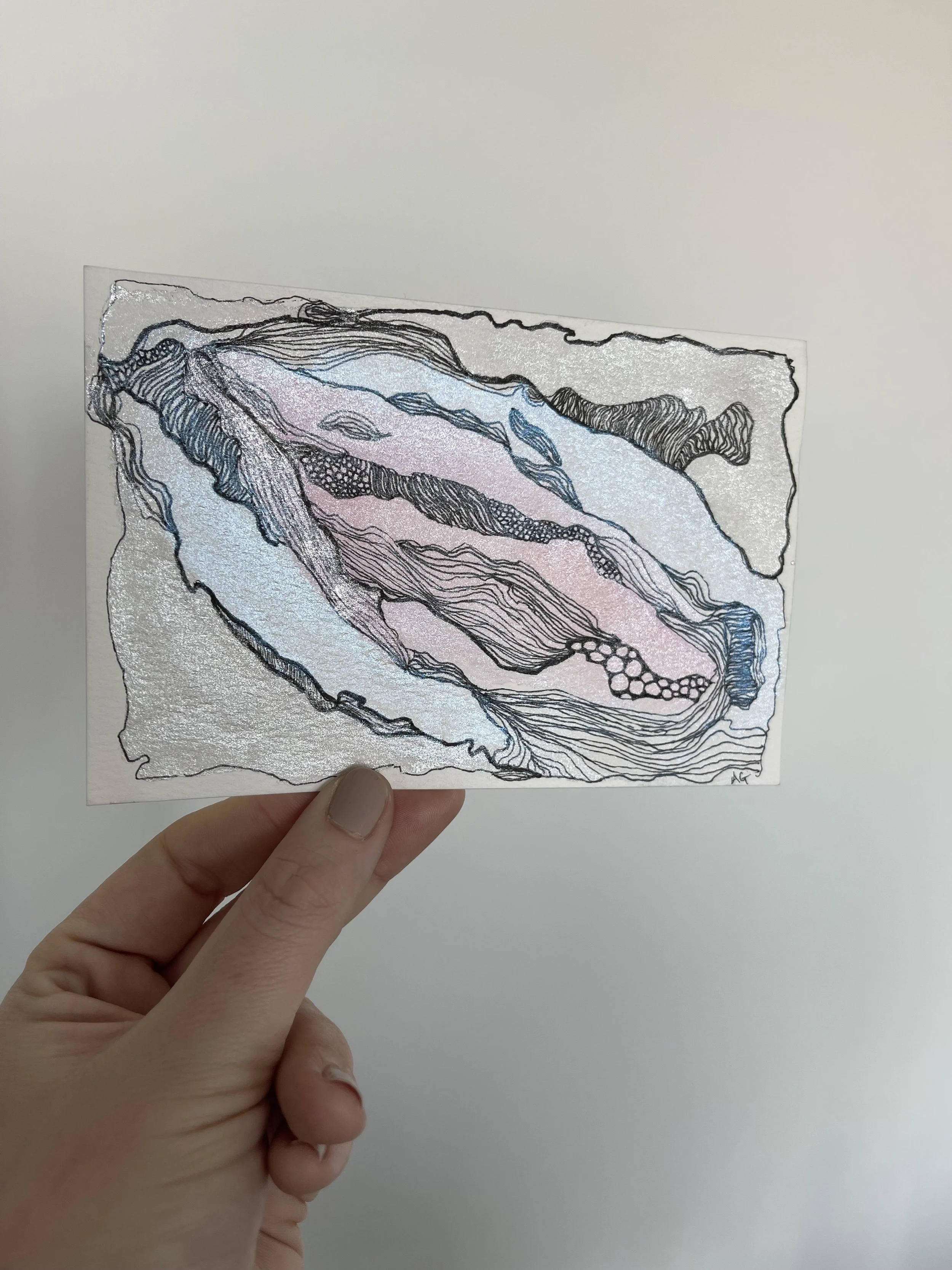 Andi Garbarino Aquarium Art Watercolor and Line Collection 5.jpeg