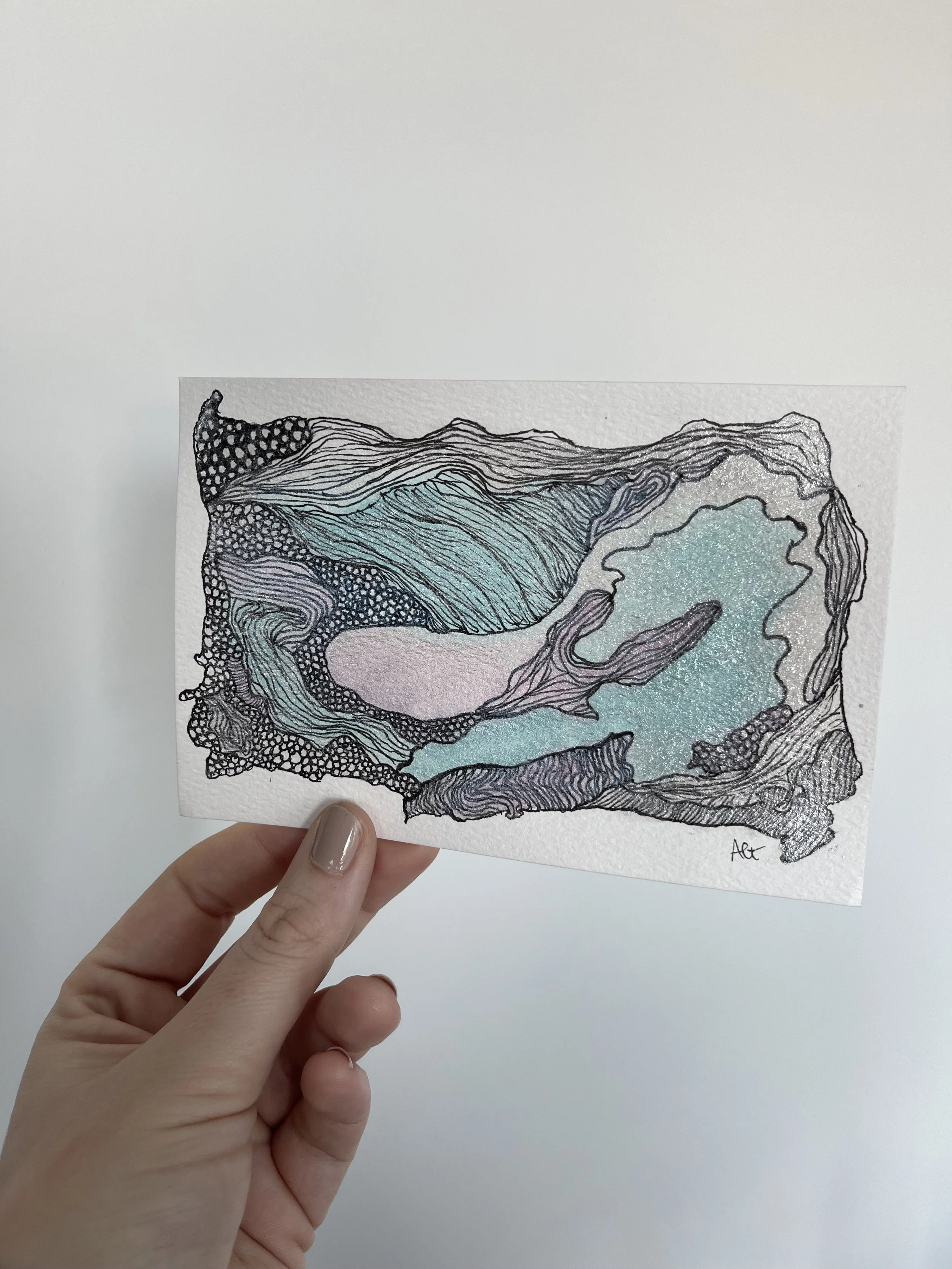 Andi Garbarino Aquarium Art Watercolor and Line Collection 2.jpeg