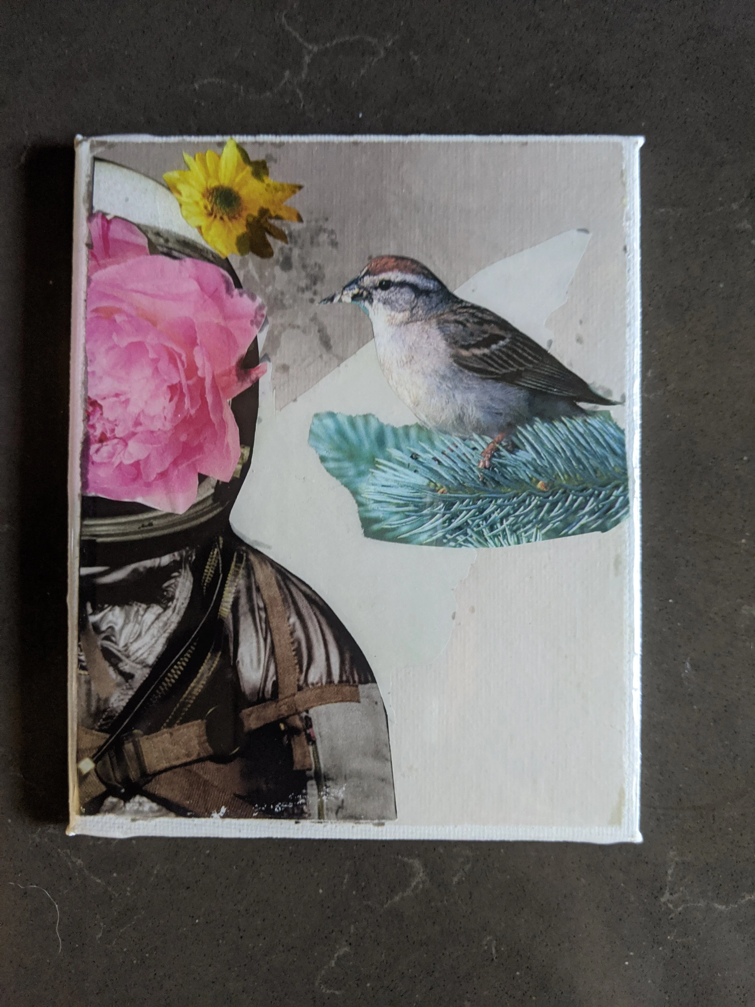 Andi Garbarino Collage Artist_1.jpg