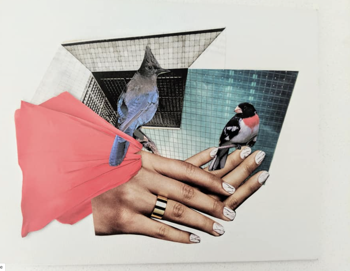 Bird Collage 1.png