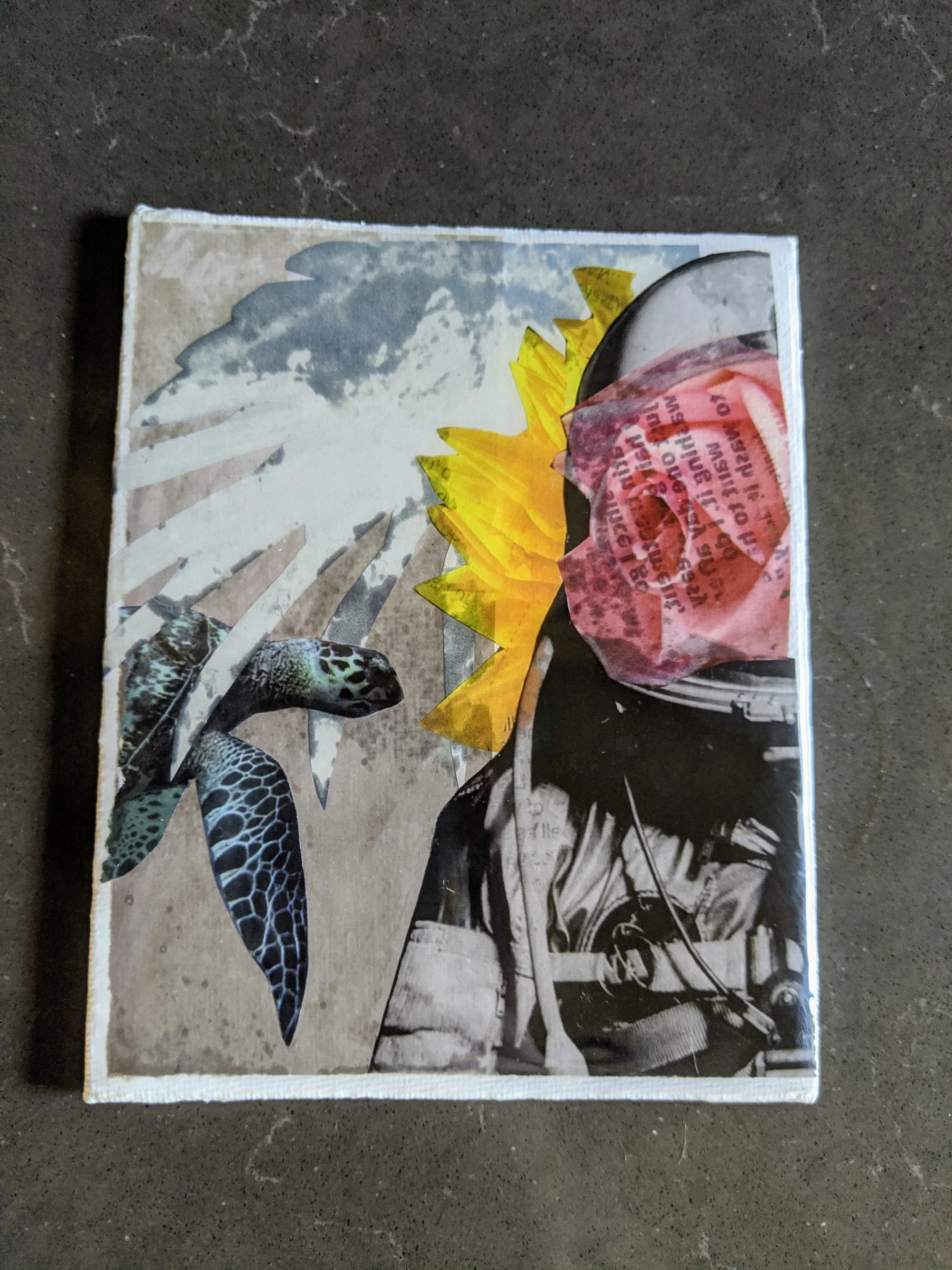 ndi Garbarino Collage Artist_2.jpg