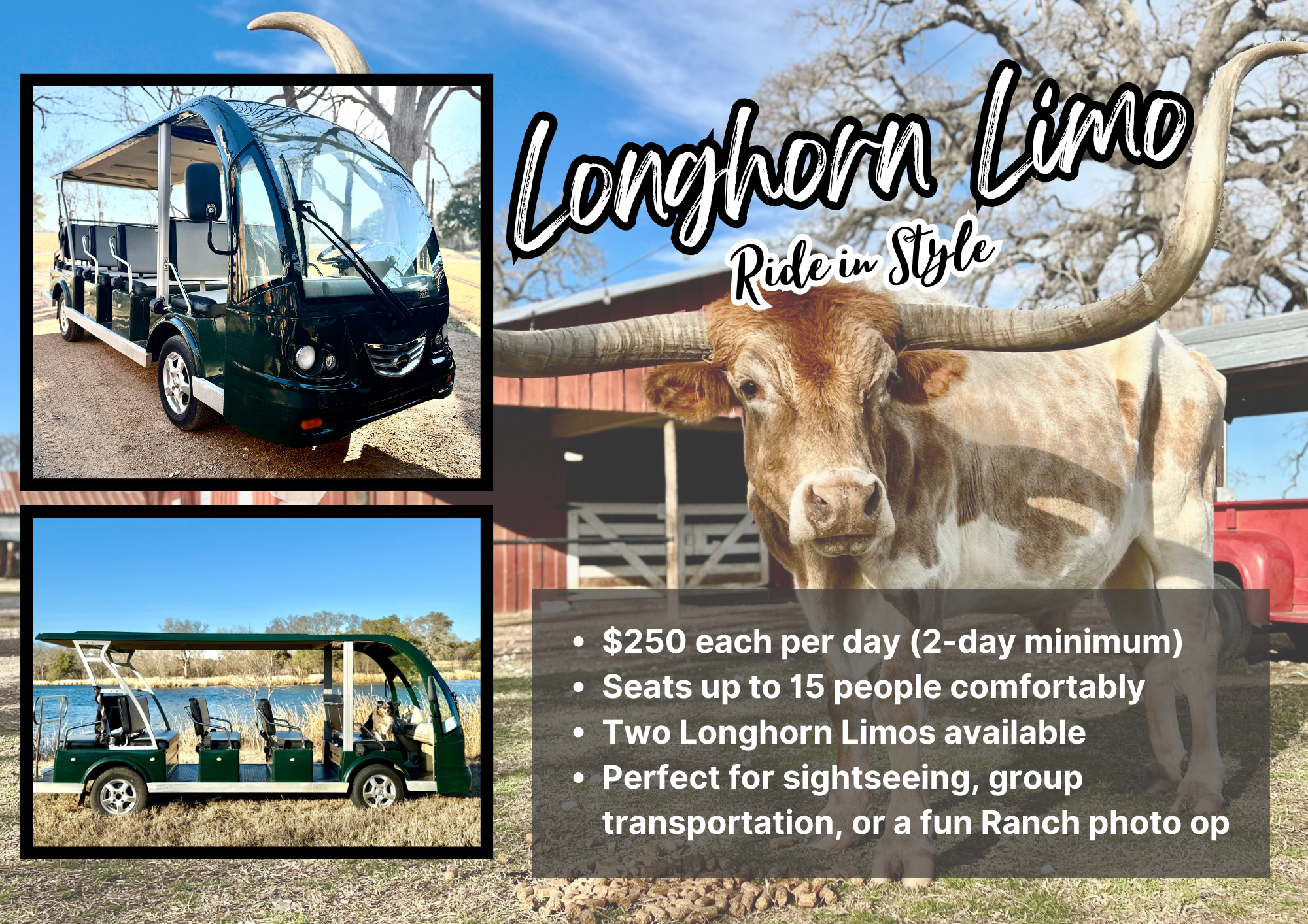 Longhorn Limo Flyer (2).png