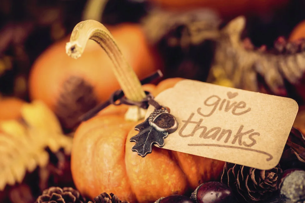 Thanksgiving Gratitude