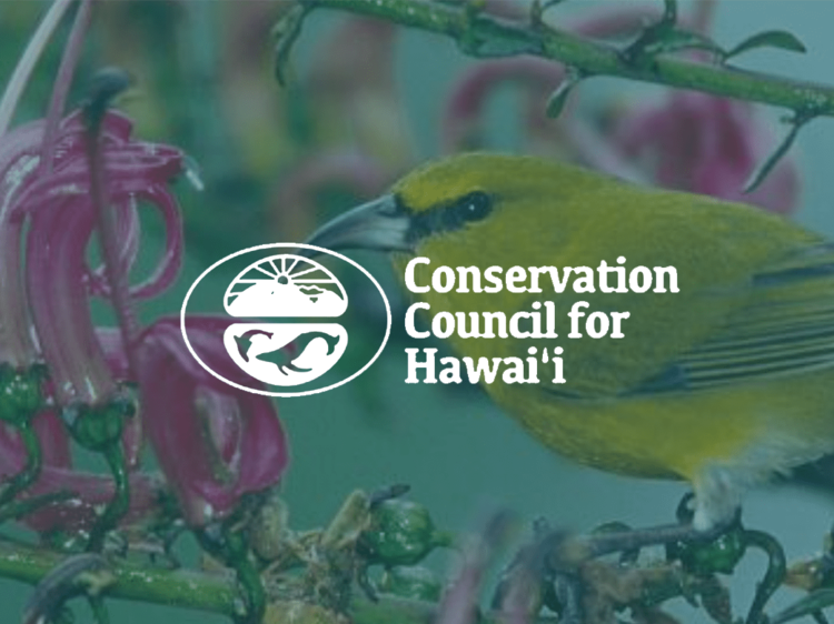 Conservation Counsil for Hawai'i
