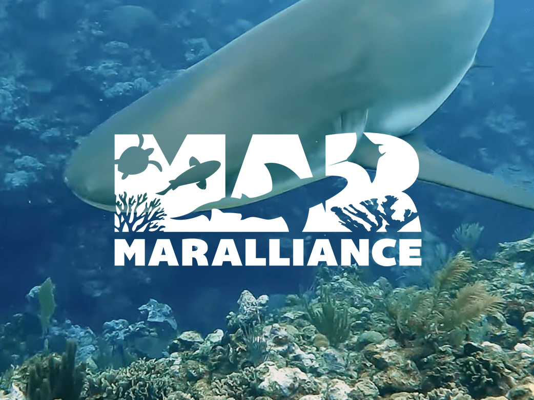 Mar Alliance