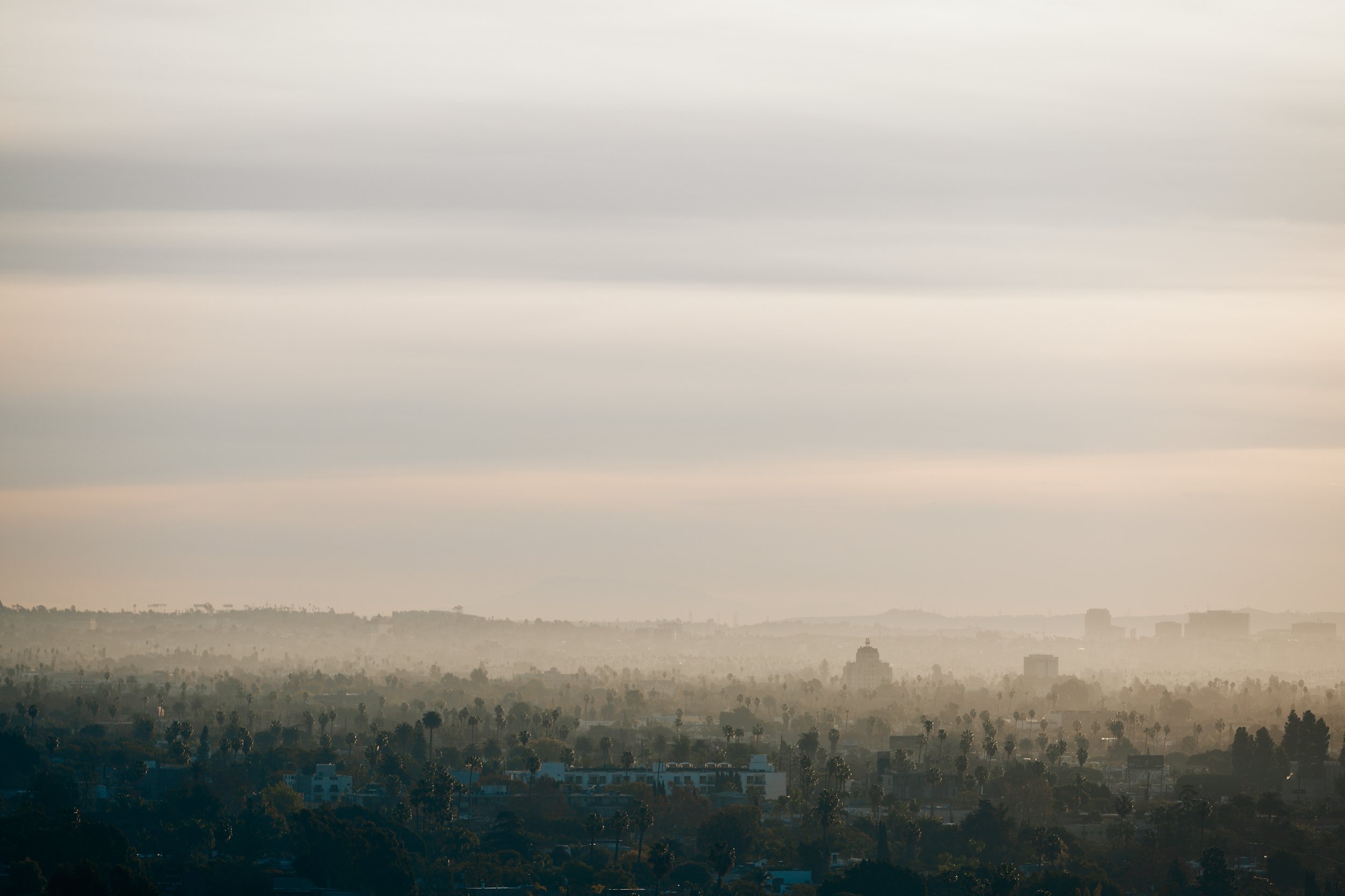 Cityscape with hazy sky, silhouetted buildings, and scattered trees.