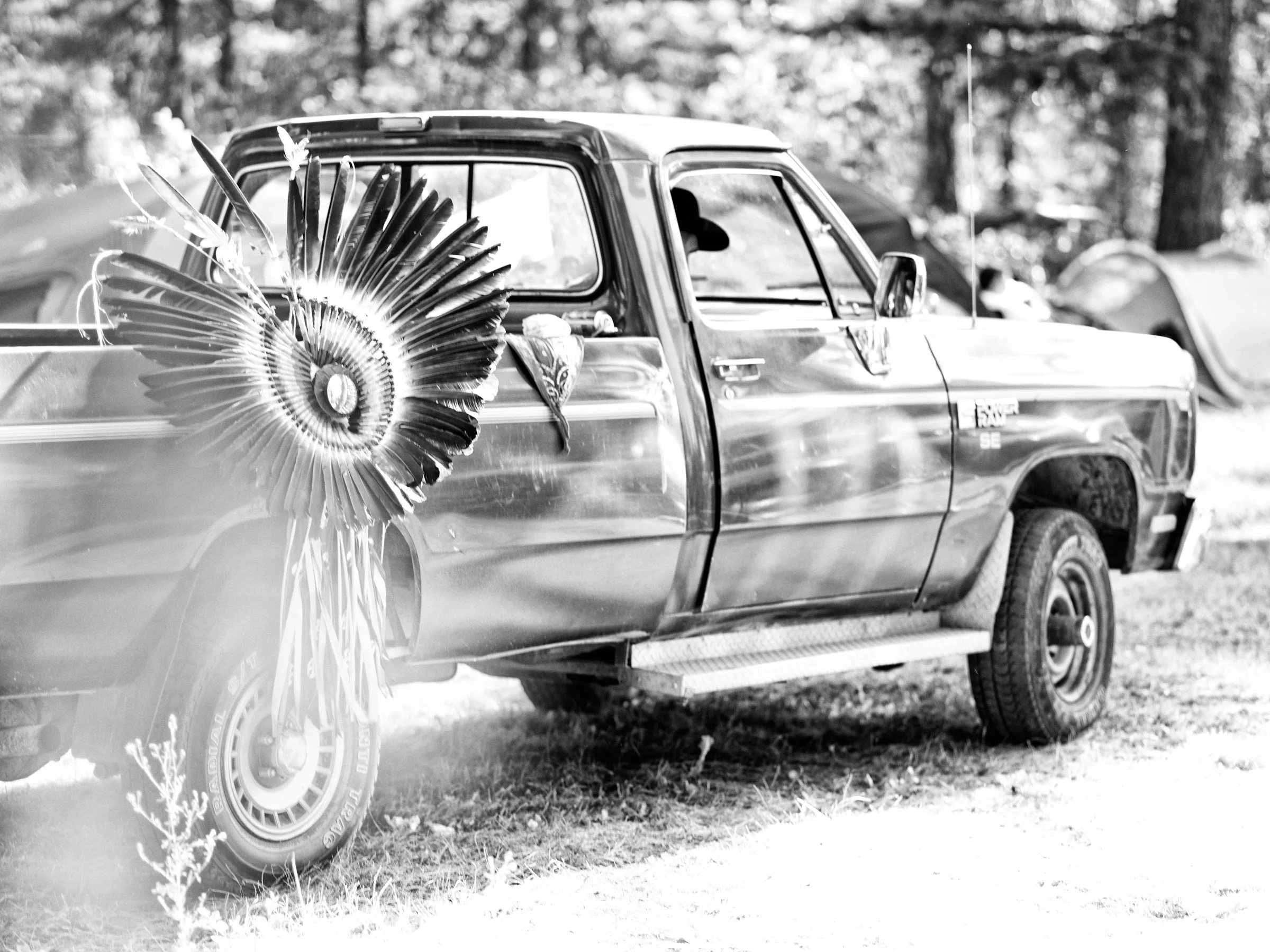 Black and white image of a parked vintage pickup truck with a decorative feather adornment on its side in a natural outdoor setting.