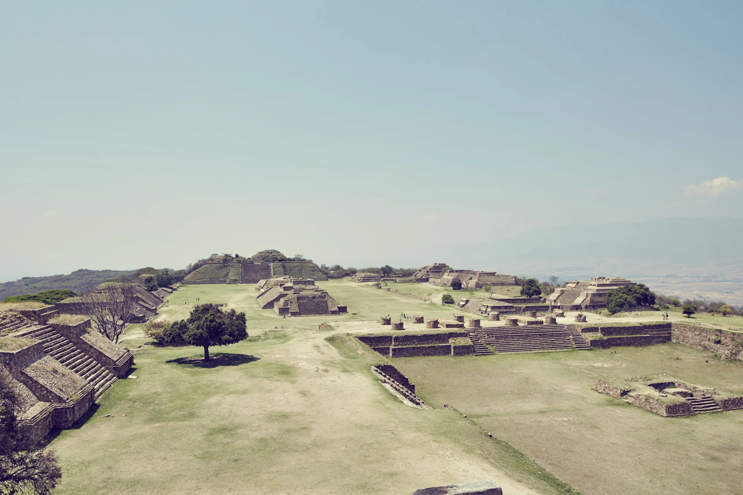 Monte Albán archaeological site with ancient pyramids and terraces in a grassy landscape under a clear sky.