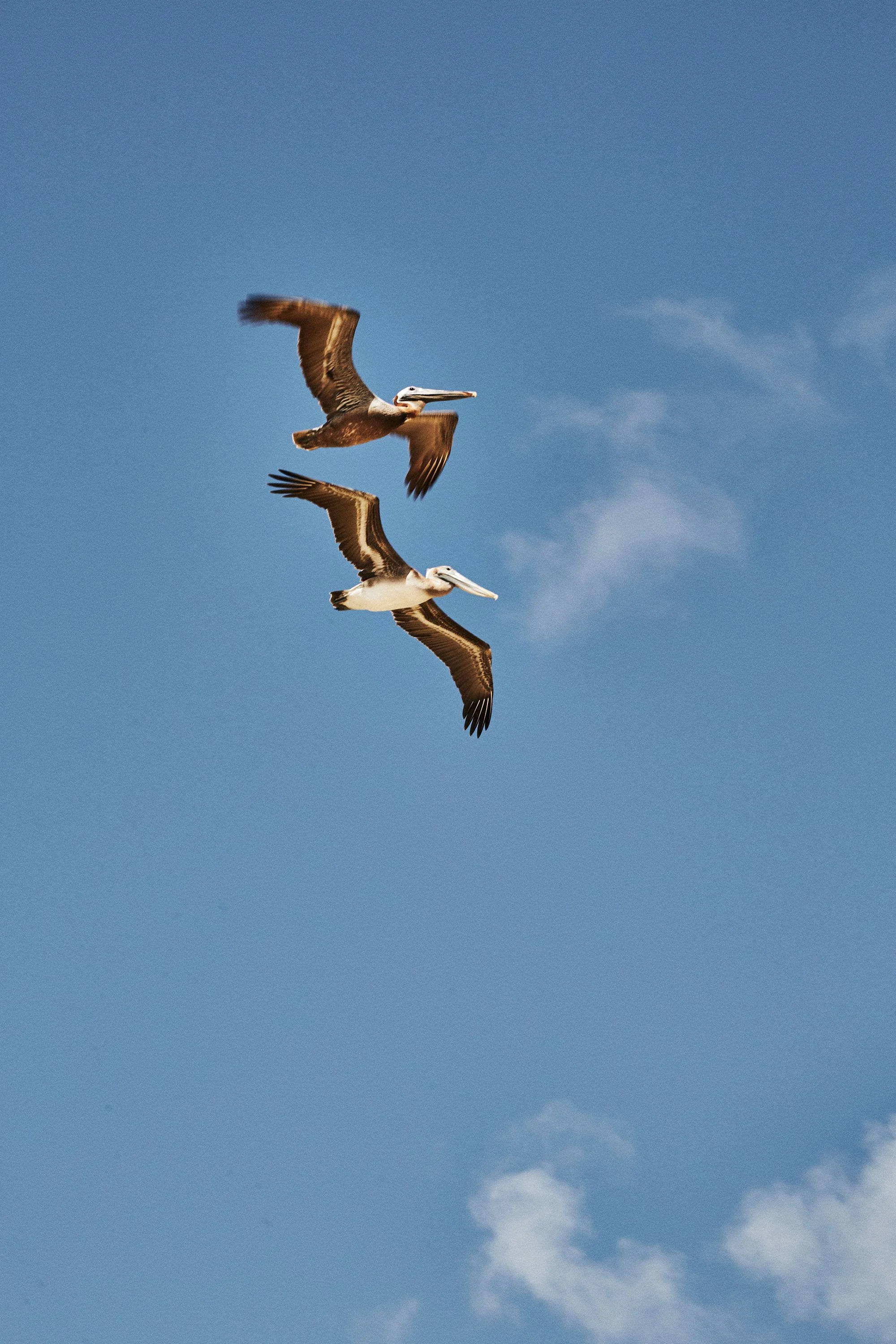 DEPARTURES_REEF_ 90.jpg