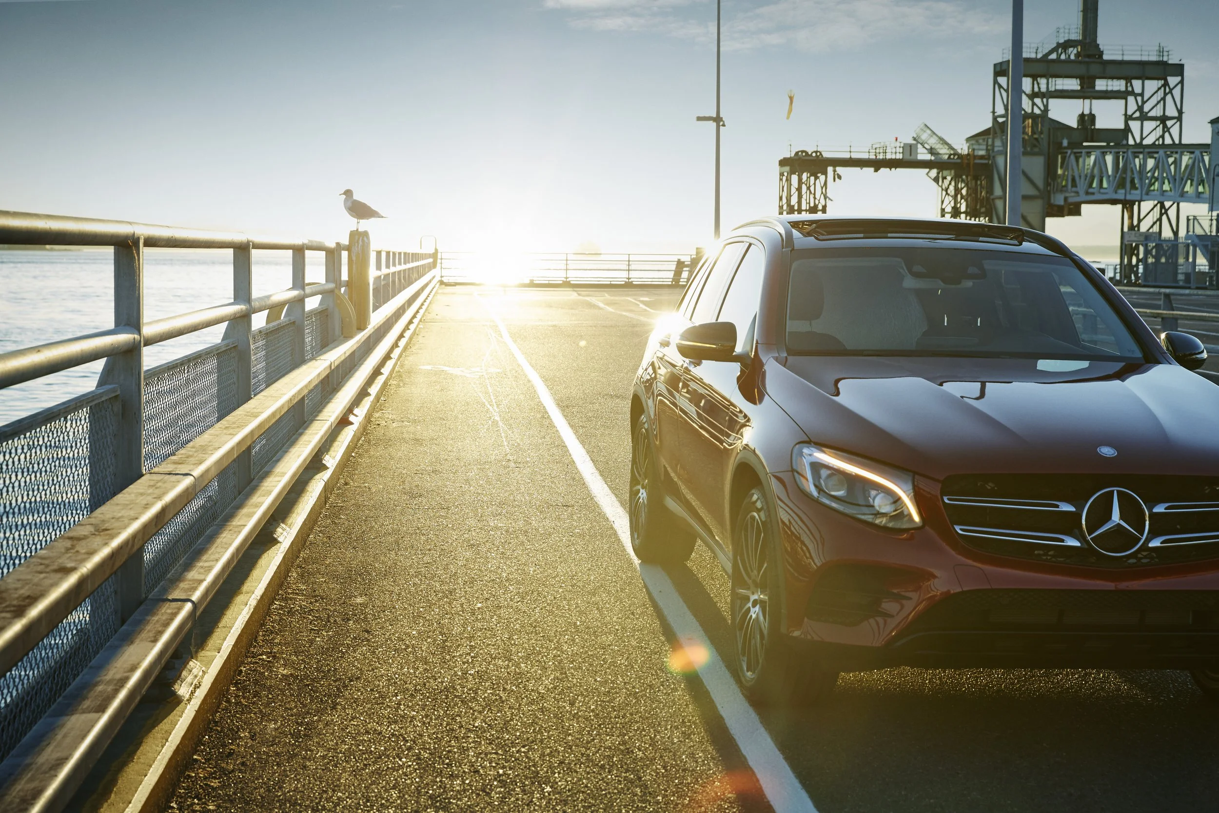 Mercedes SUV on a bridge at sunset with a seagull on a railing