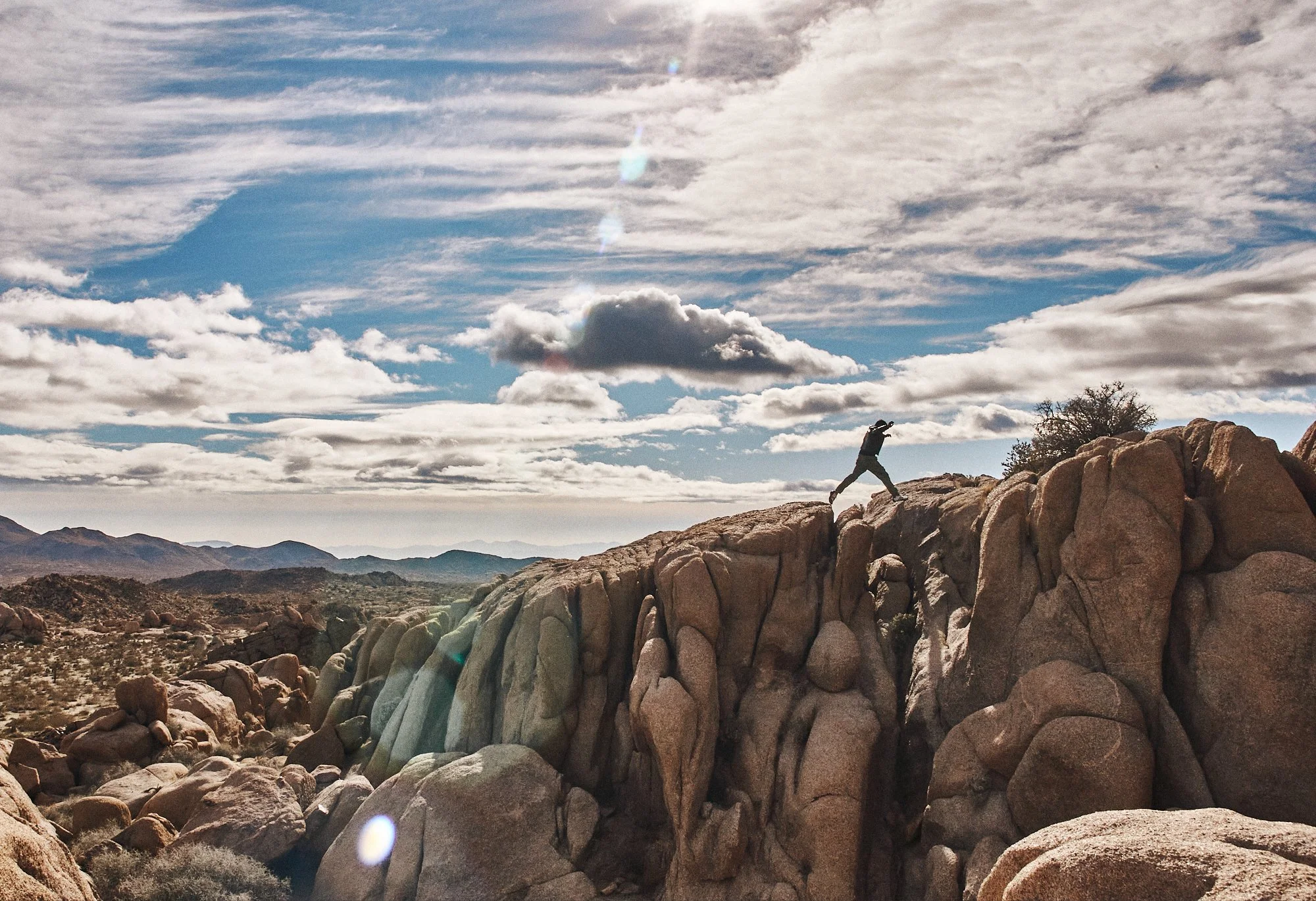 Joshua_Tree-0159.jpg