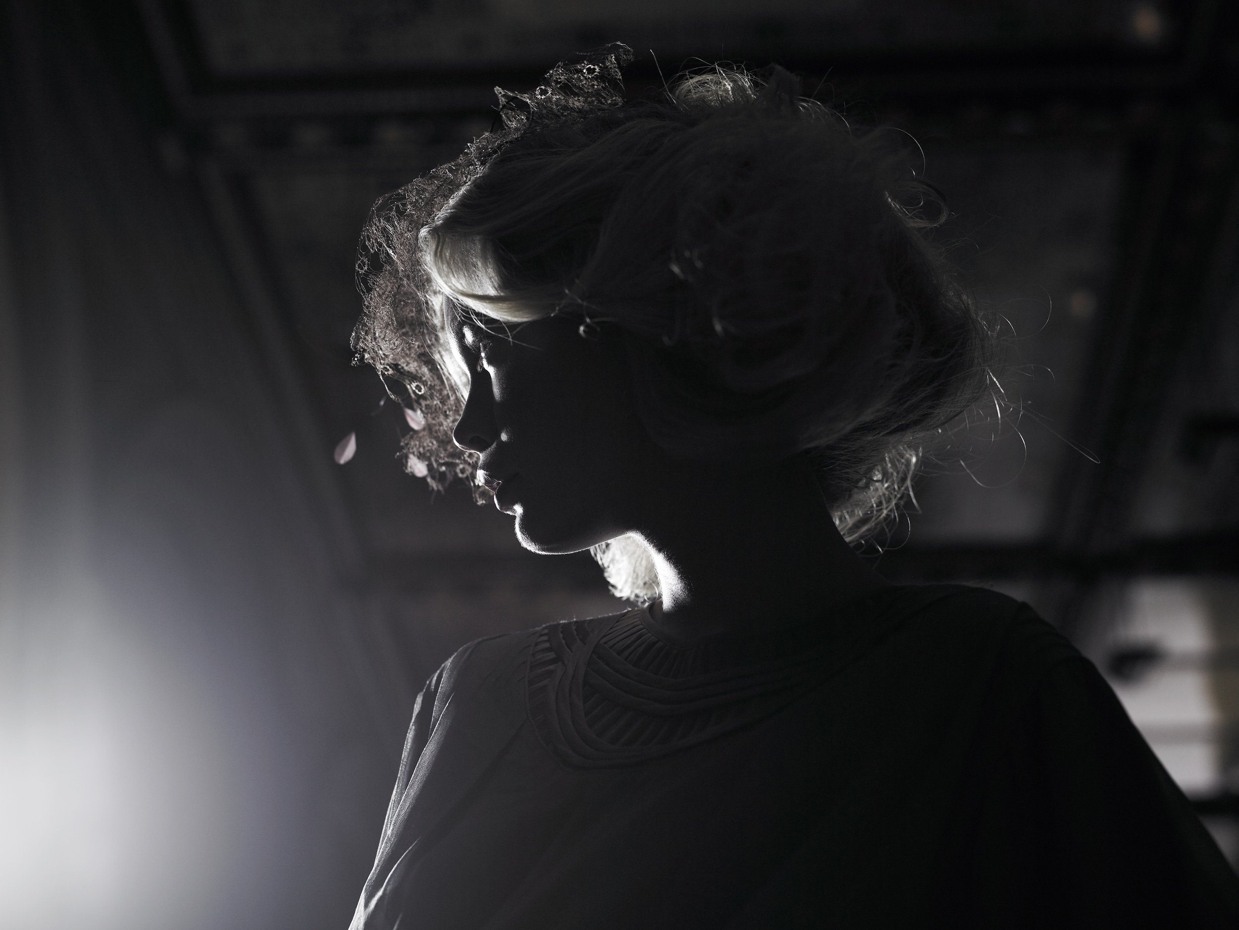 Silhouette of a person with a vintage hairstyle and dress, illuminated by side lighting, creating a dramatic effect and highlighting intricate details.