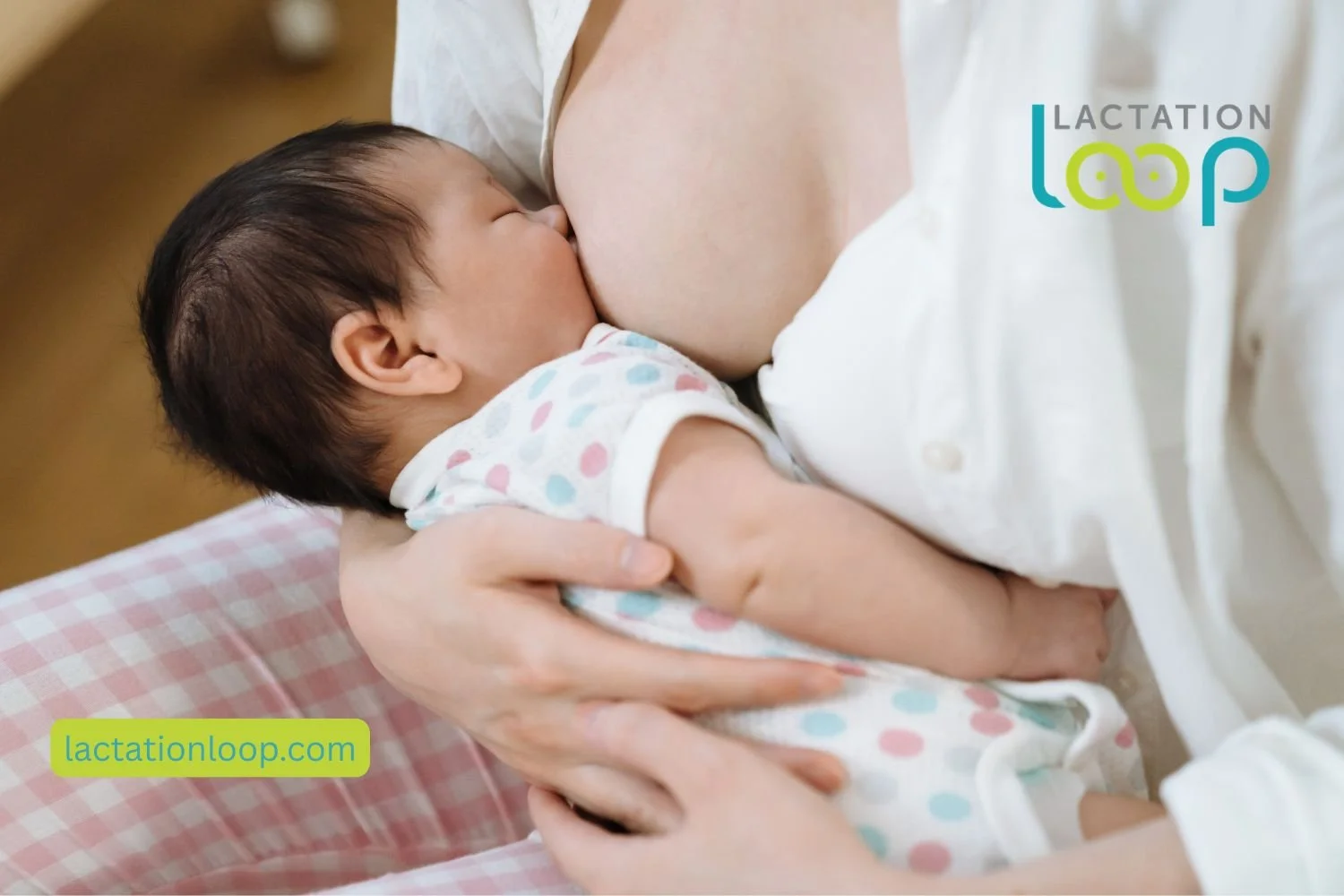 Lactation Consultant in South Tampa, Hyde Park &amp; Bayshore, Florida | Lactation Loop IBCLC