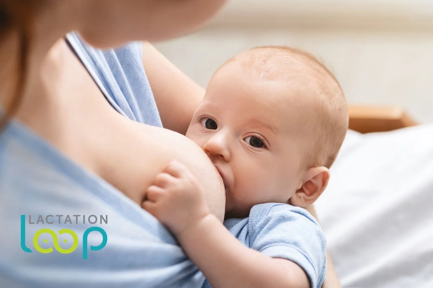 Lactation Consultant in Franklin, Tennessee | Virtual IBCLC Services | Lactation Loop