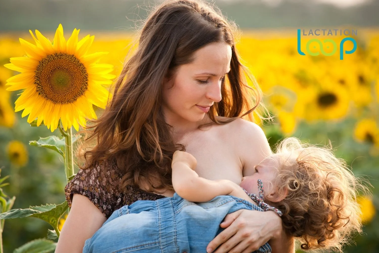 Lactation Consultant in Highlands Ranch, Colorado | Virtual IBCLC Services | Lactation Loop