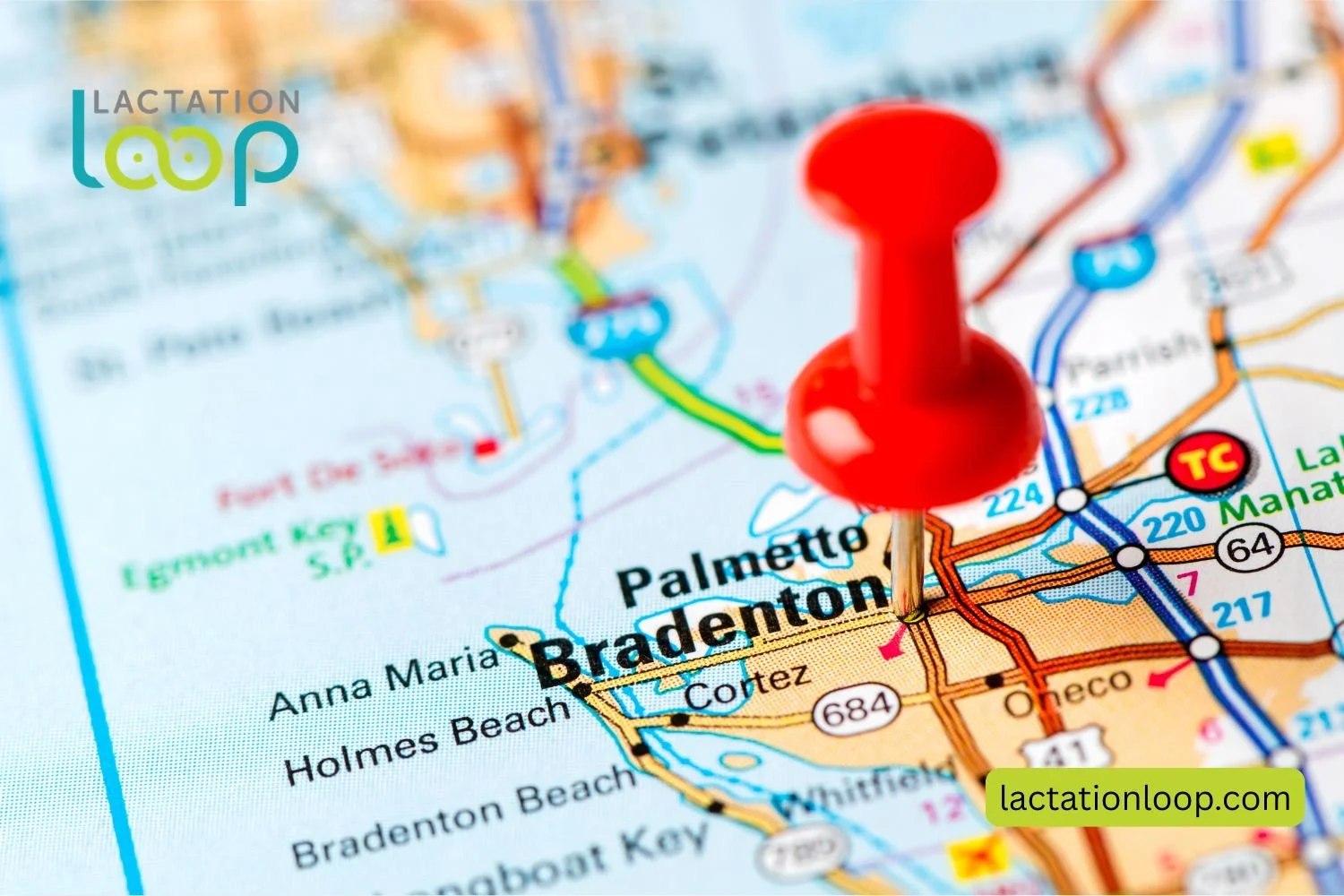 Bradenton Florida Map