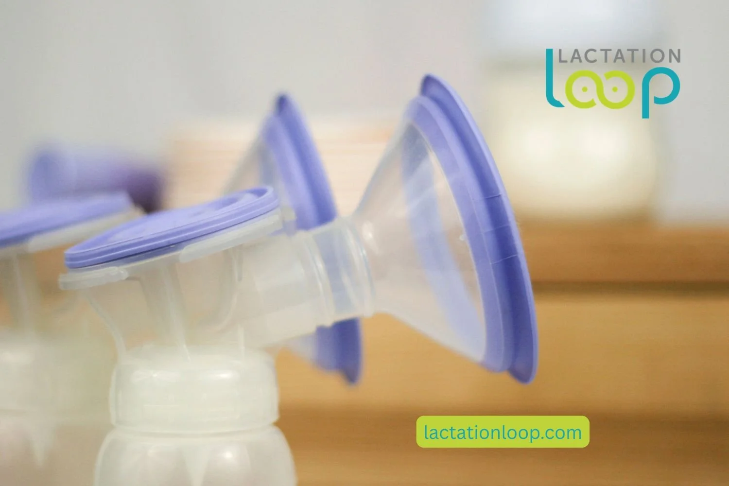 Breast pump flanges and breast shield shown close up — Lactation Loop IBCLC guide to flange sizing