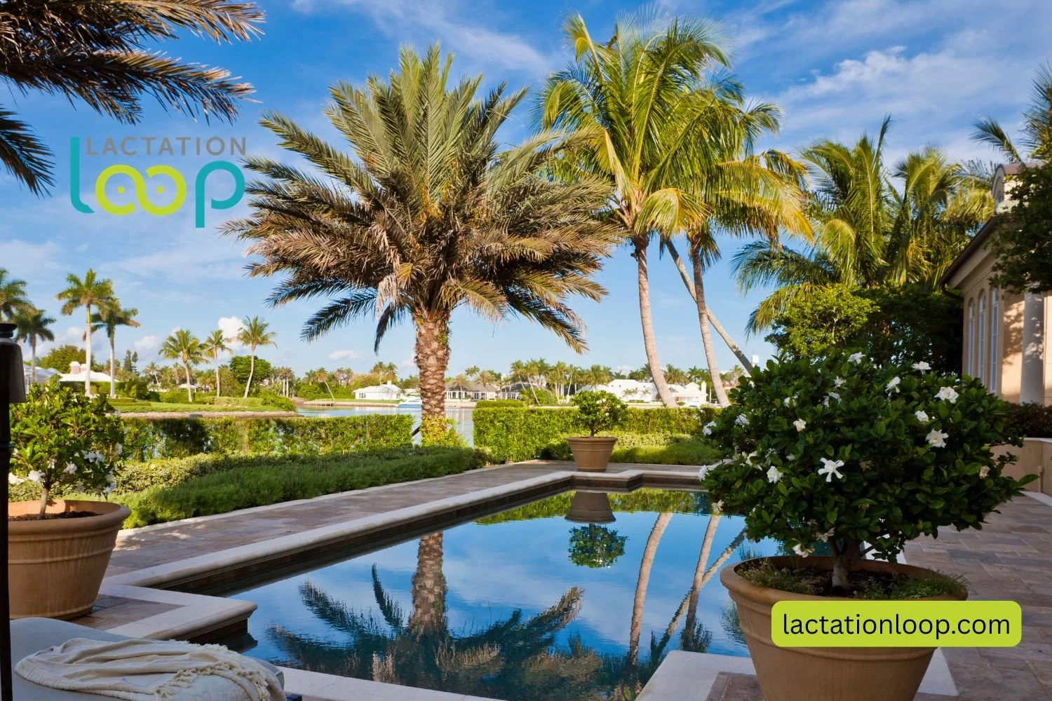 backyard of  a North Port Florida home