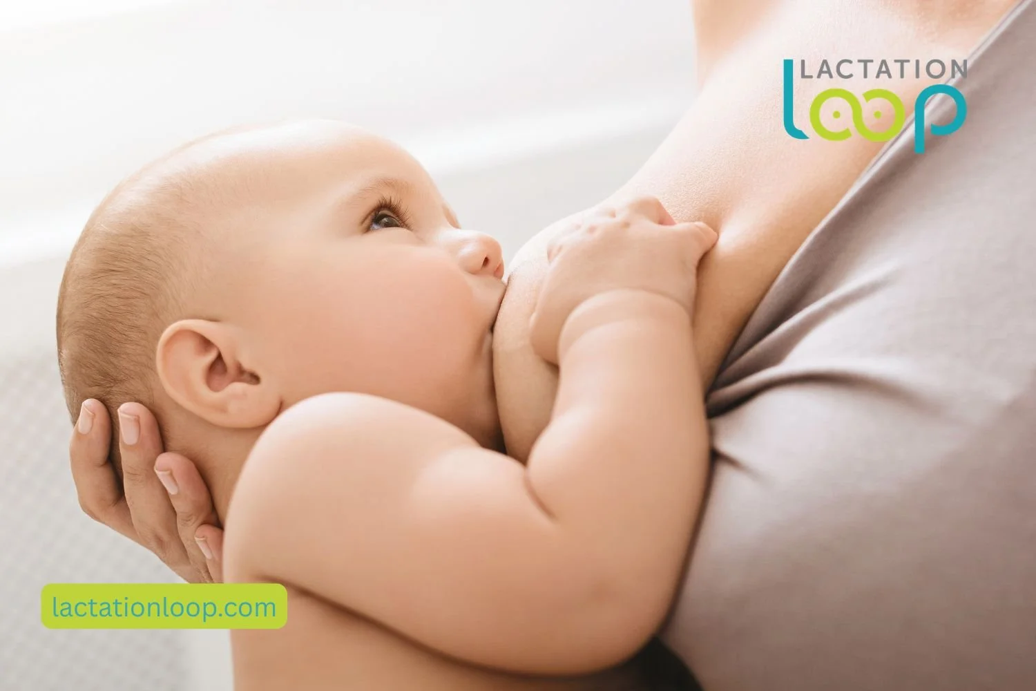 Heather Carnaghi IBCLC — Lactation Loop lactation consultant serving Ann Arbor Michigan at Blossom Pediatric Dentistry