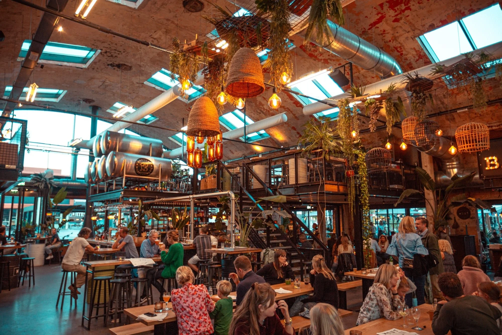 IVY nieuwjaarsborrel - MOUT