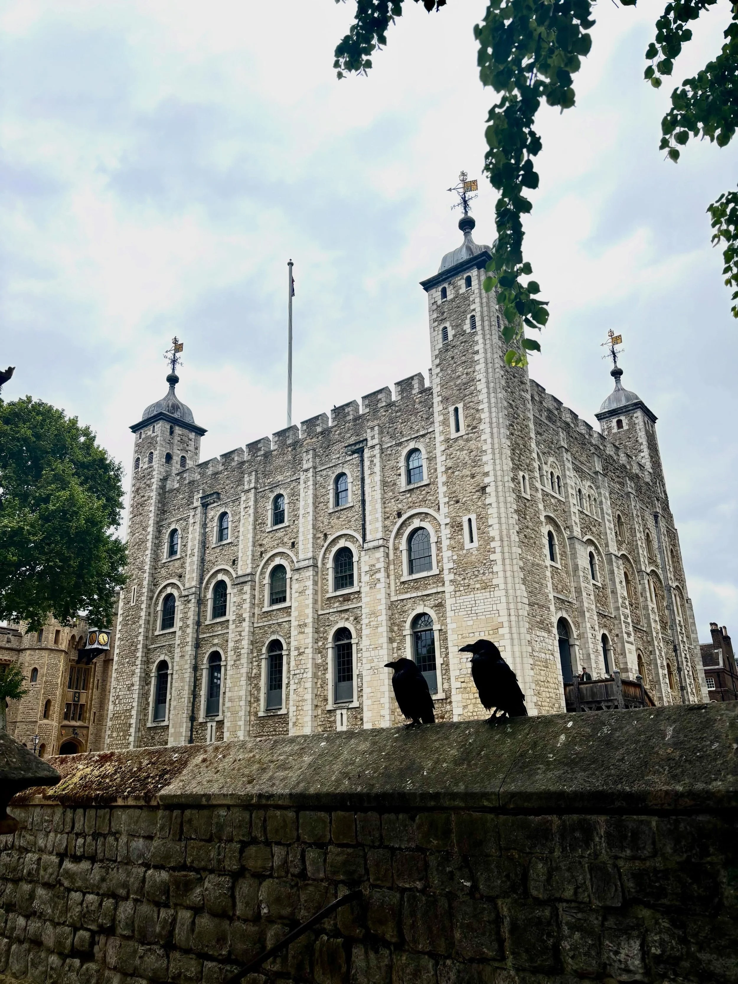 Not sure if two constitutes an &lsquo;unkindness of ravens&rsquo; but if they told me it did I wouldn&rsquo;t question them! They did look quite menacing! 

At the Tower earlier this week.