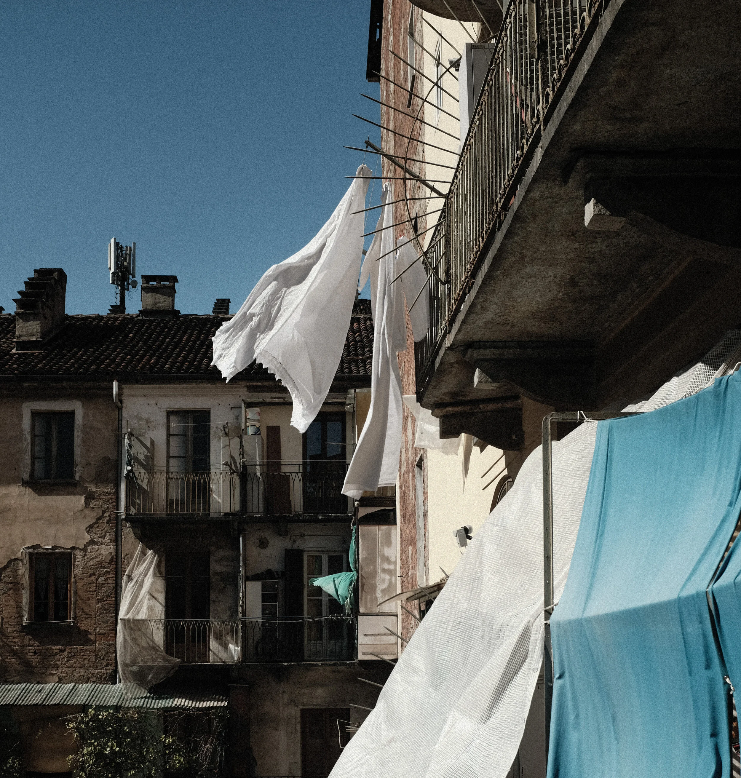DSCF6641.jpg