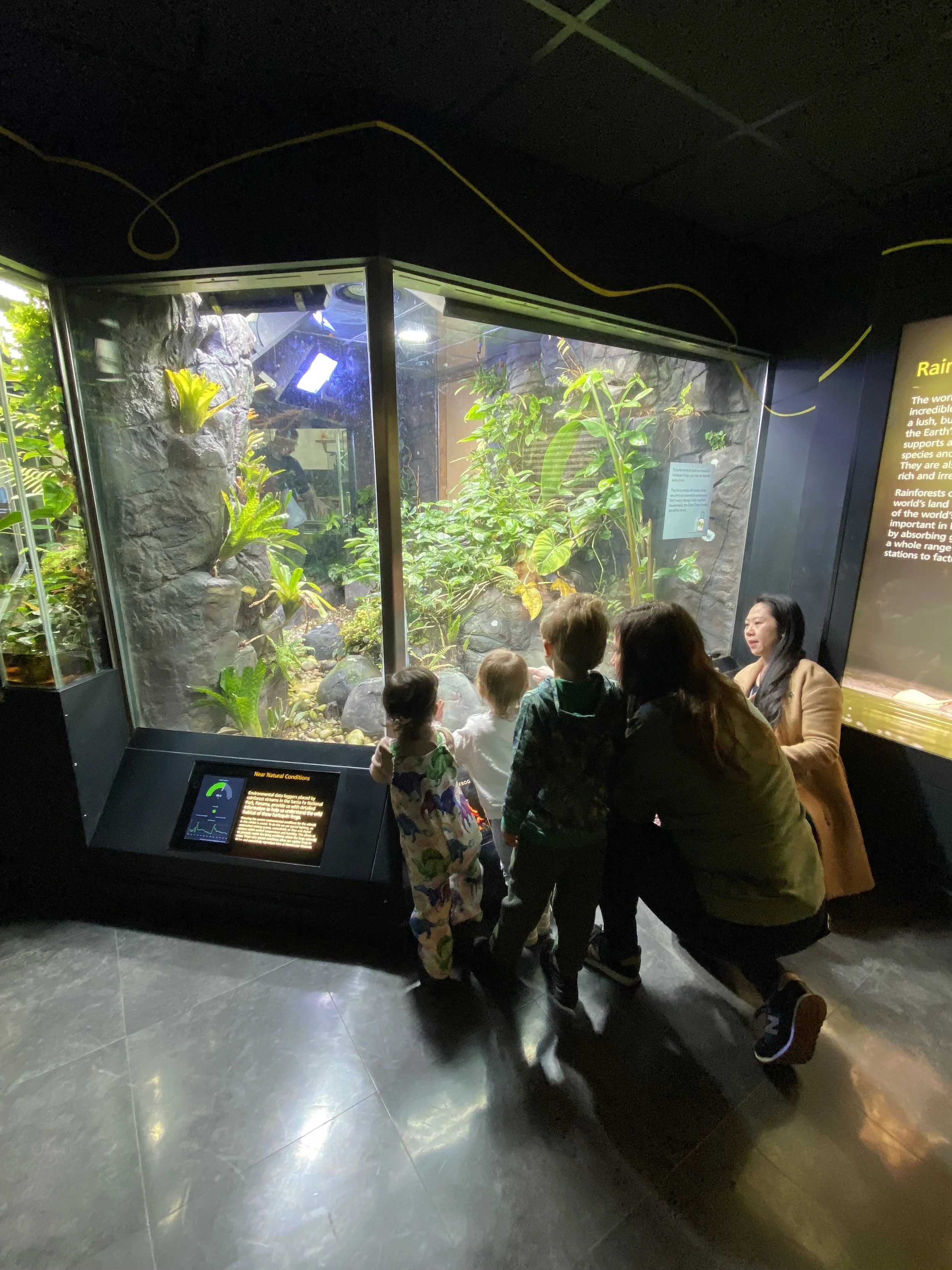Jan 2025 Manchester Museum Vivarium.jpg