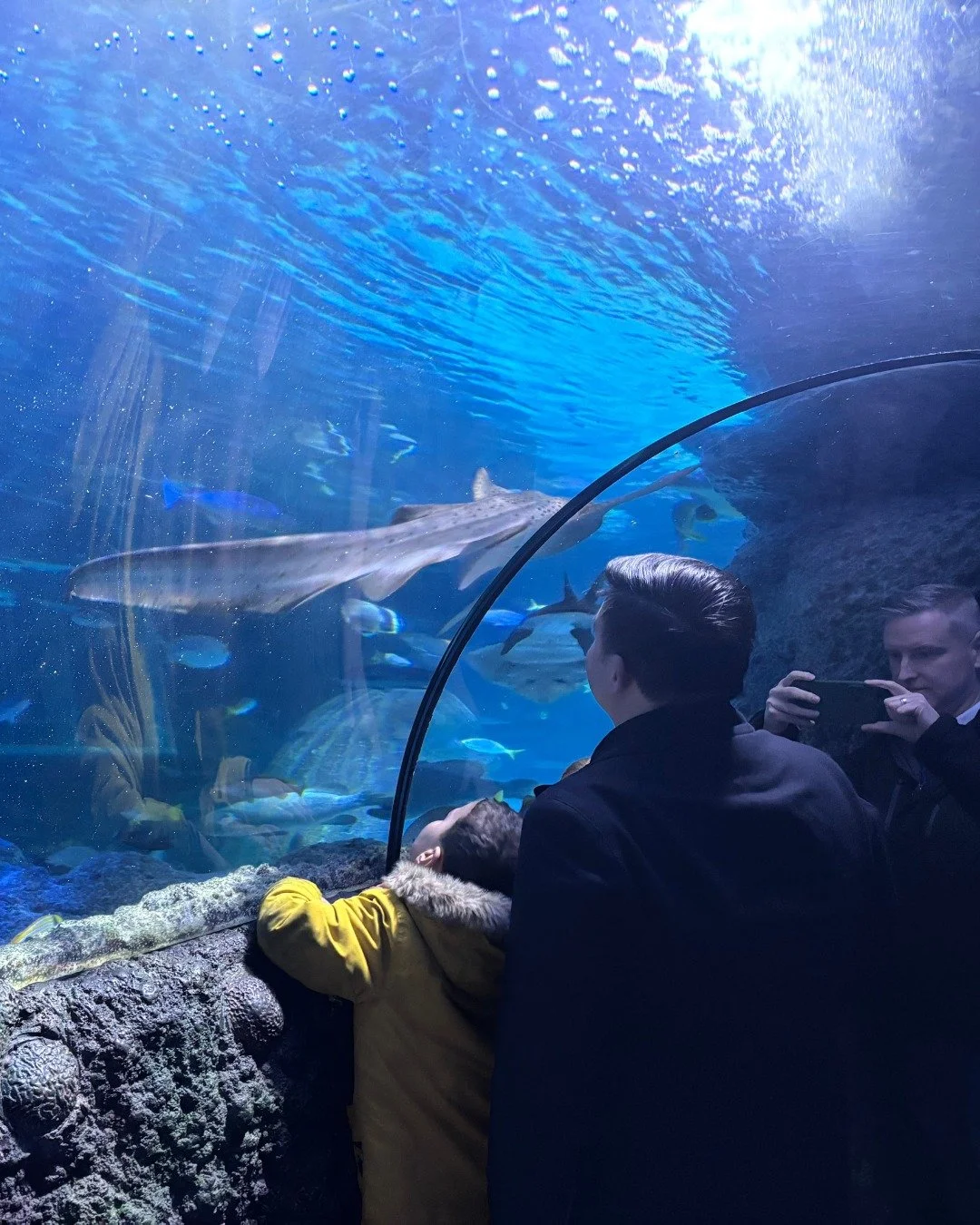 What a brilliant morning we had at SEA LIFE Manchester last week 🐠

It was so lovely to see a mix of new and familiar faces come together for our Families Through Adoption session, sharing smiles, stories, and plenty of underwater wonder.

Our famil
