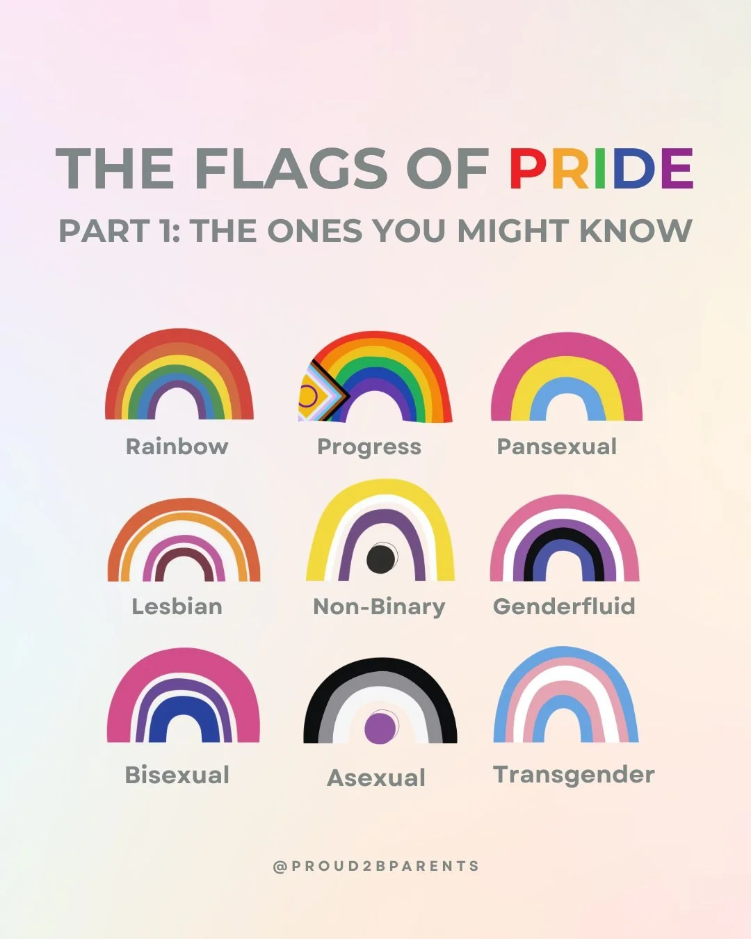 🌈 Part 1: The Flags of Pride &mdash; The Ones You Might Know
Pride isn't just one flag. It's a whole rainbow of identities, each with their own colours, meaning, and story.

Swipe through to meet some of the most recognised flags in the LGBTQ+ commu