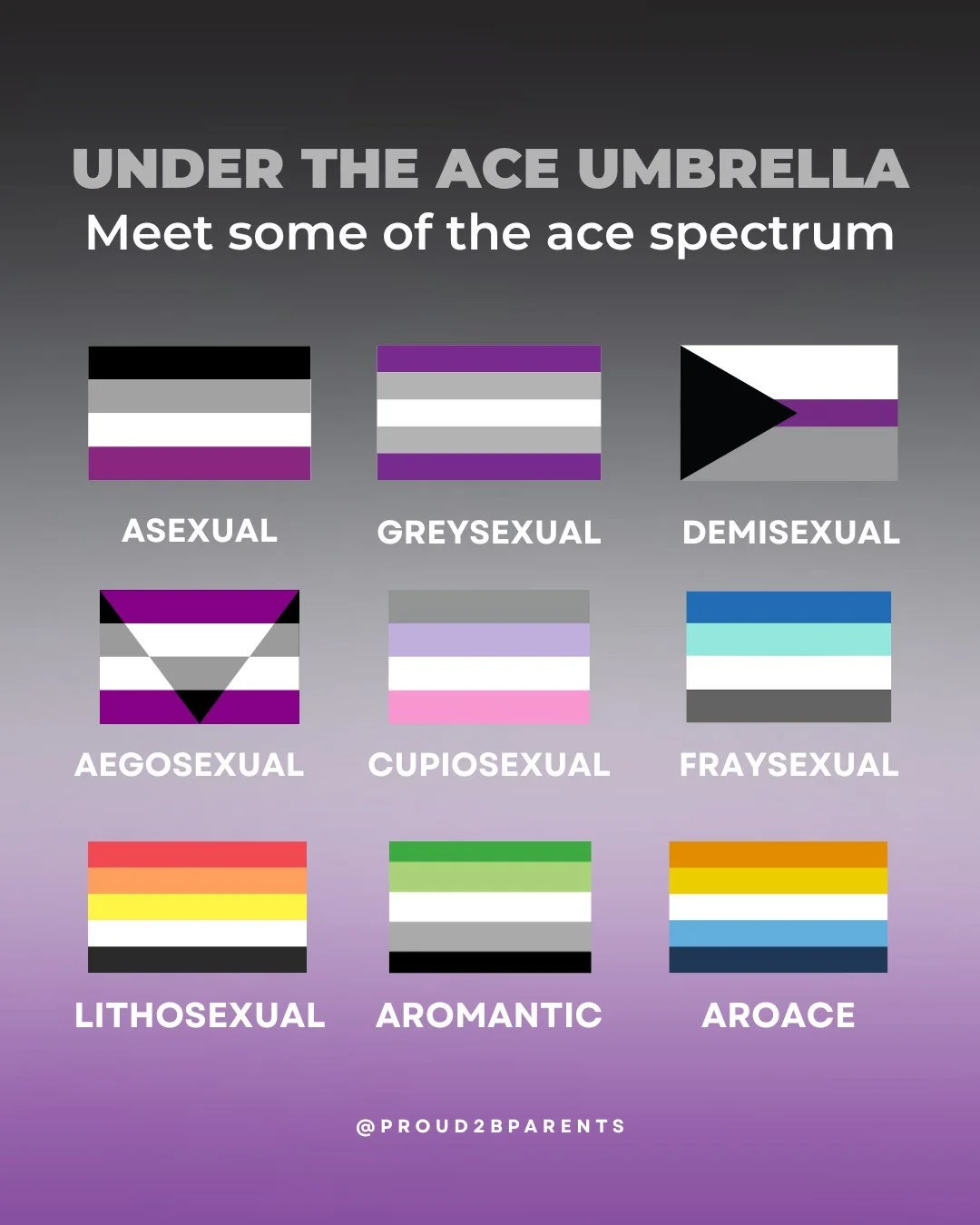 How much do you know about the ace spectrum? 🖤🩶🤍💜

Asexuality isn&rsquo;t one single experience. From demisexuality to greysexuality, there are different words people may use to describe how they experience sexual attraction.

We&rsquo;ve put tog