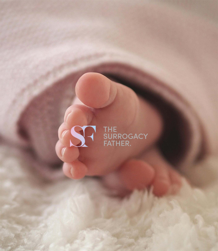 The Surrogacy Father
