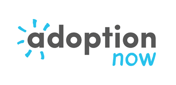 Adoption Now logo