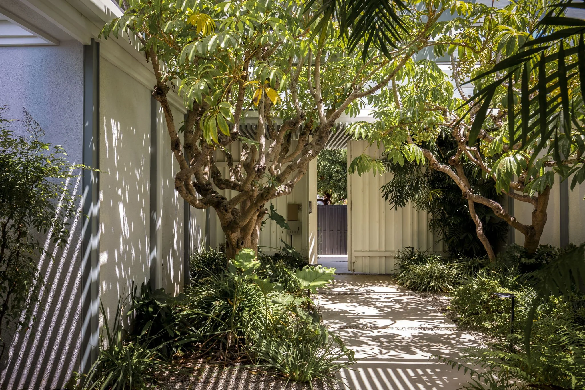 7 - 8-web-or-mls-6519 Springpark Ave by Pierre Galant-8.jpg