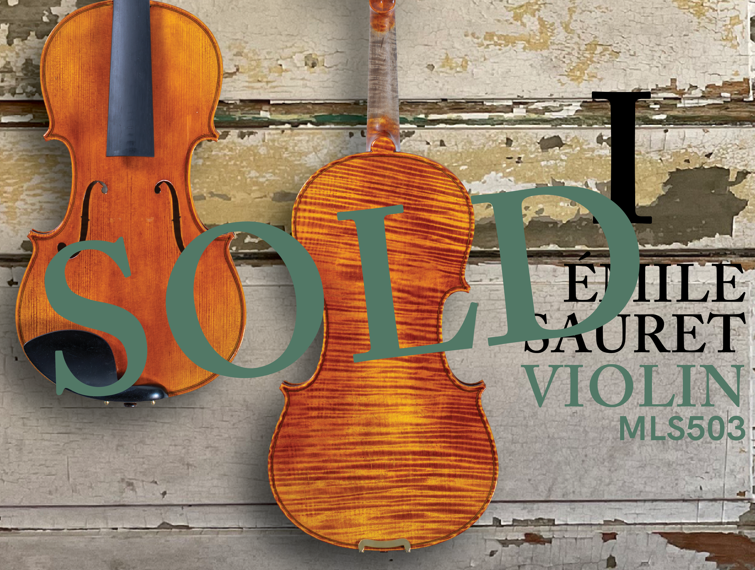 202603 HP 503VN I-SOLD.png