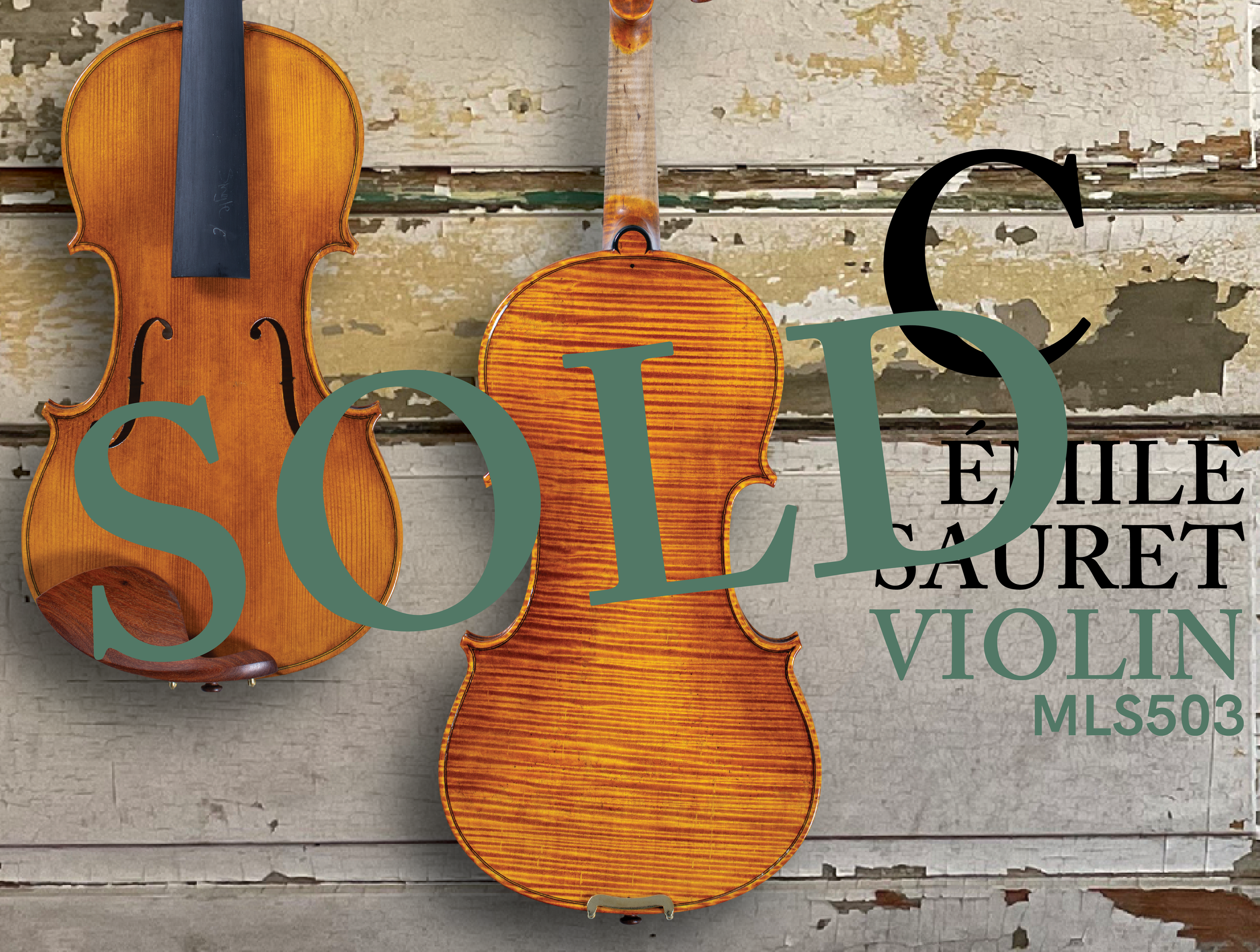 202603 HP 503VN C-SOLD.png